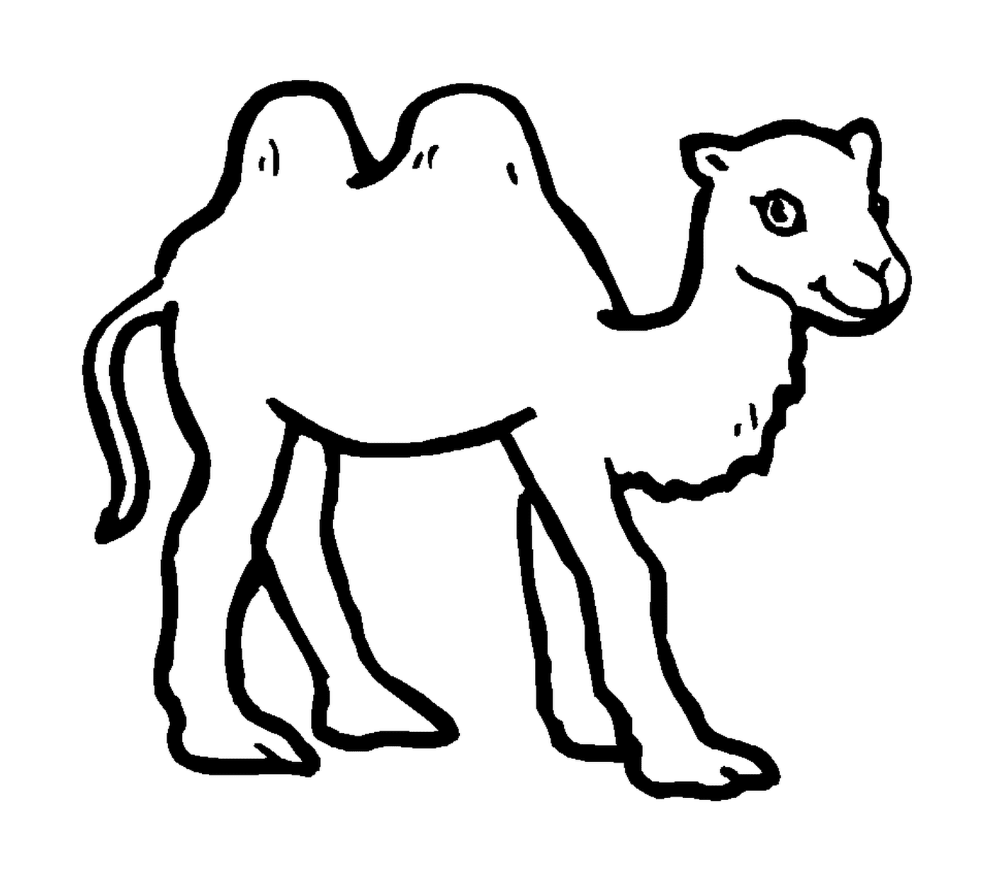   Un chameau dessiné en noir 
