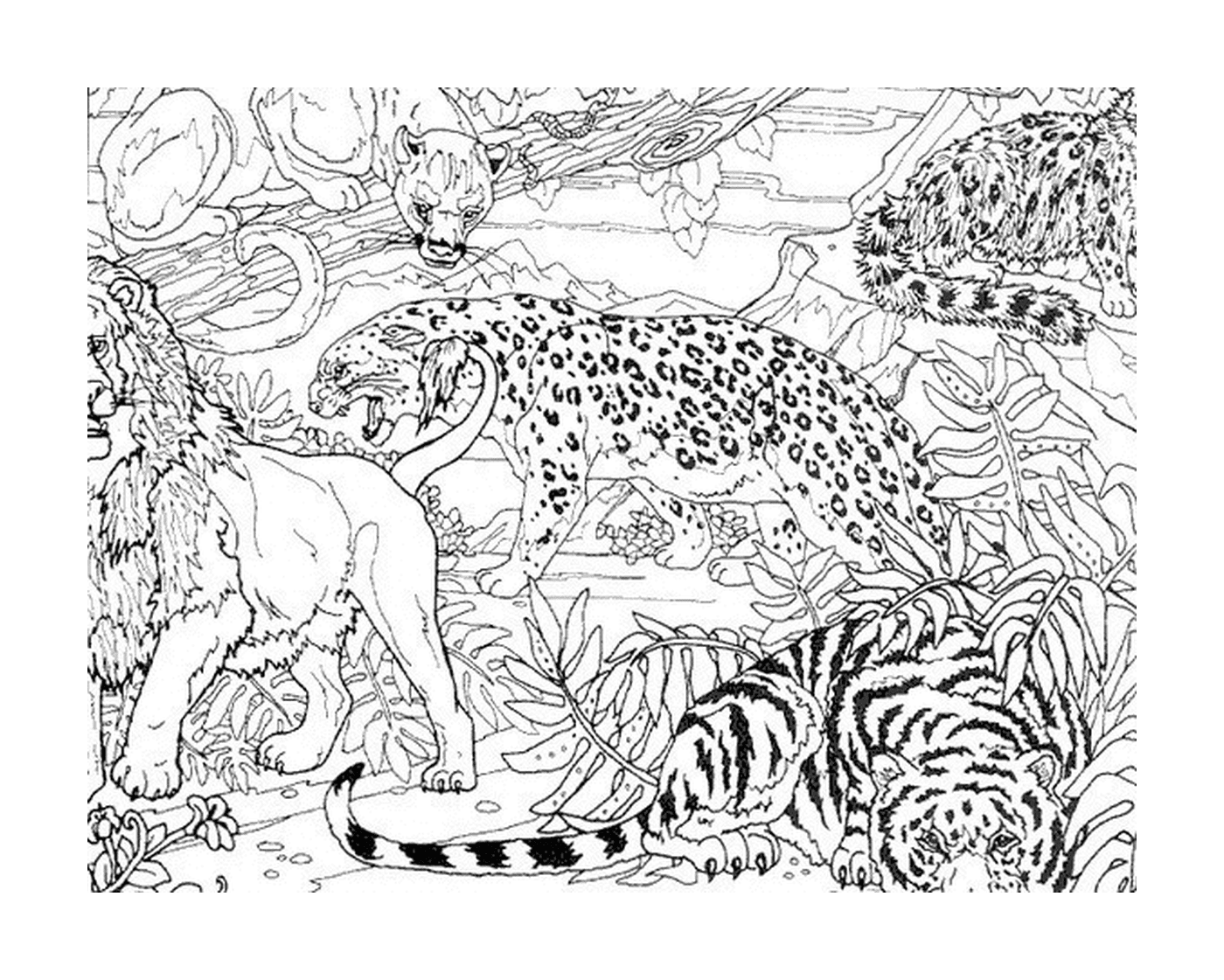   Un léopard et deux tigres dans la jungle 