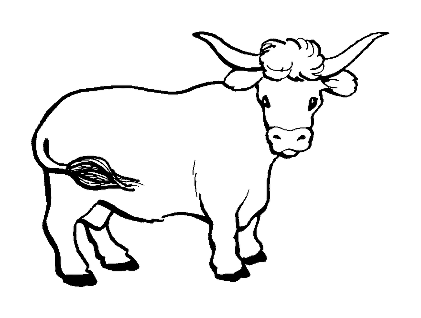   Une vache 