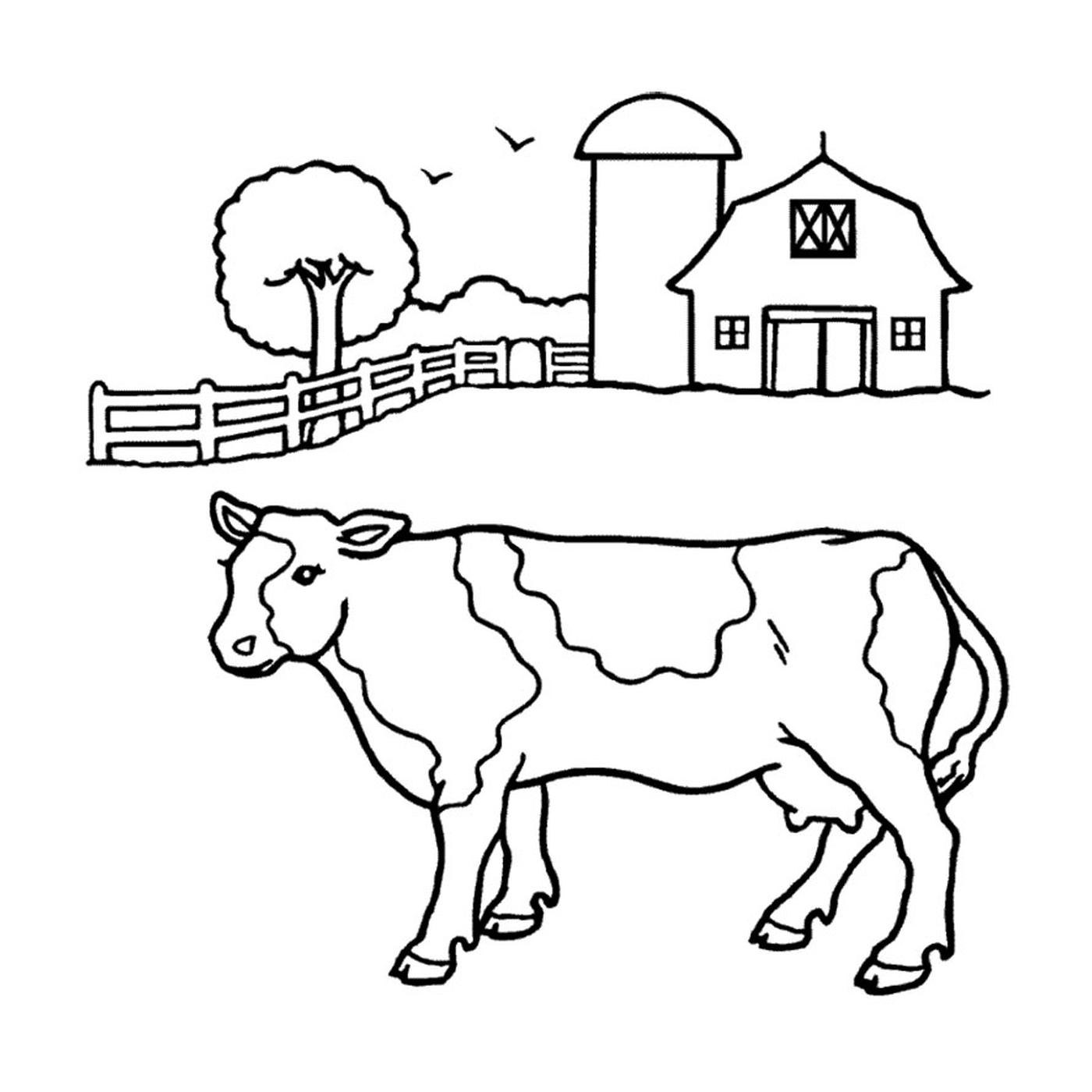   Une vache se tient devant une grange 