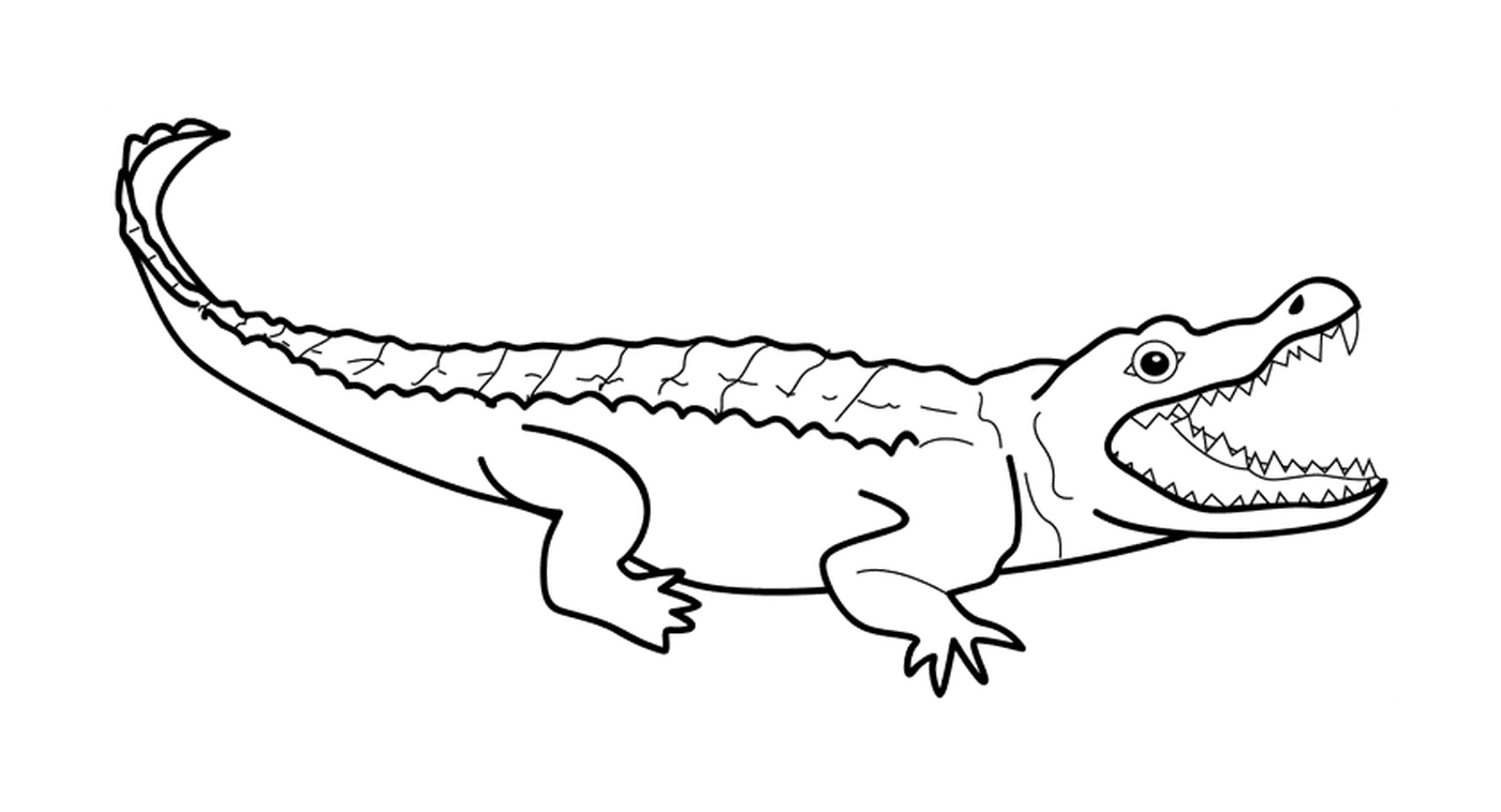   Un alligator assis 