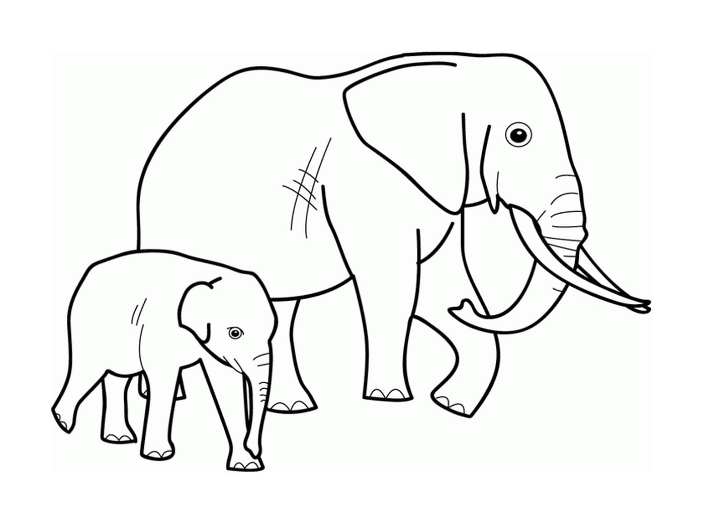   Un éléphant adulte et un éléphanteau côte à côte 