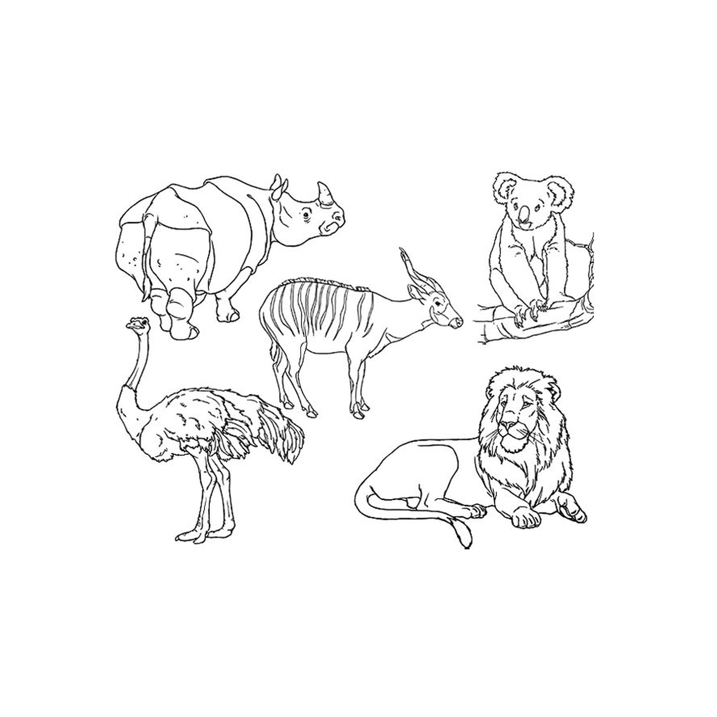  Un groupe d'animaux dessinés 