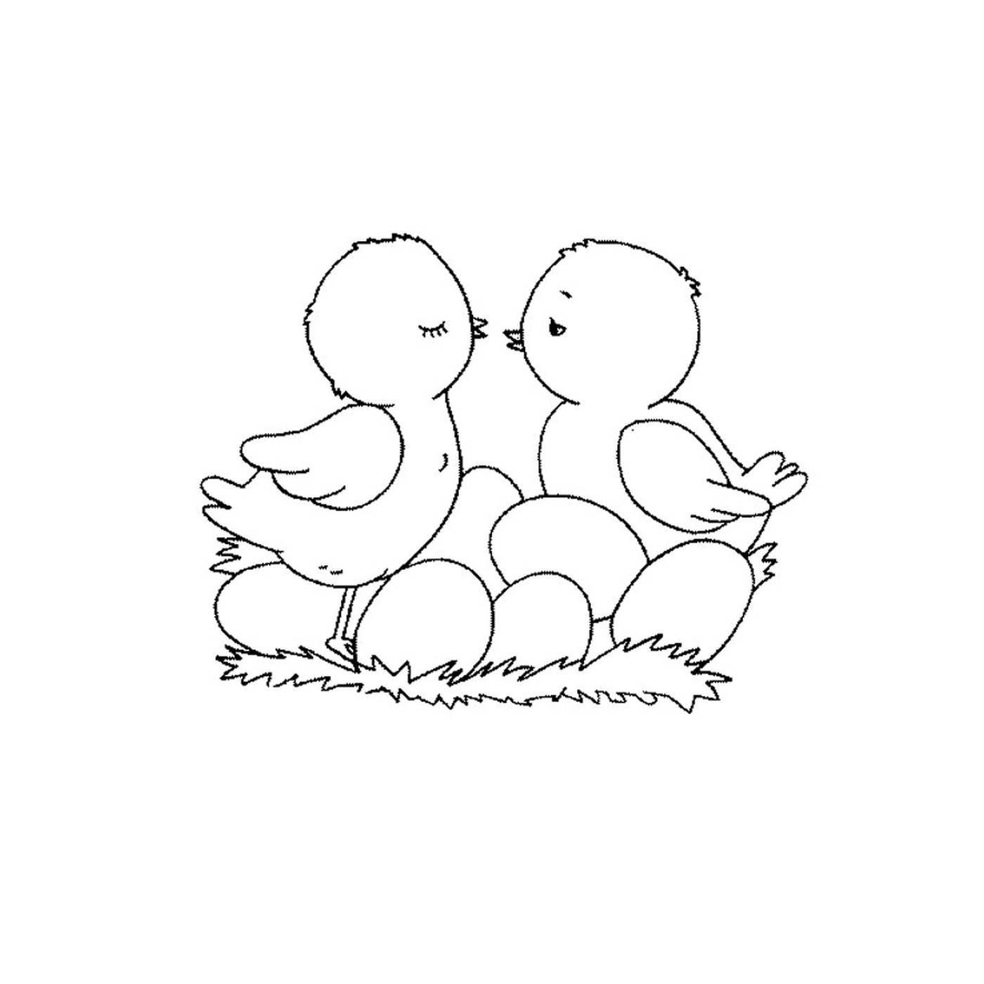   un couple d'oiseaux assis côte à côte 