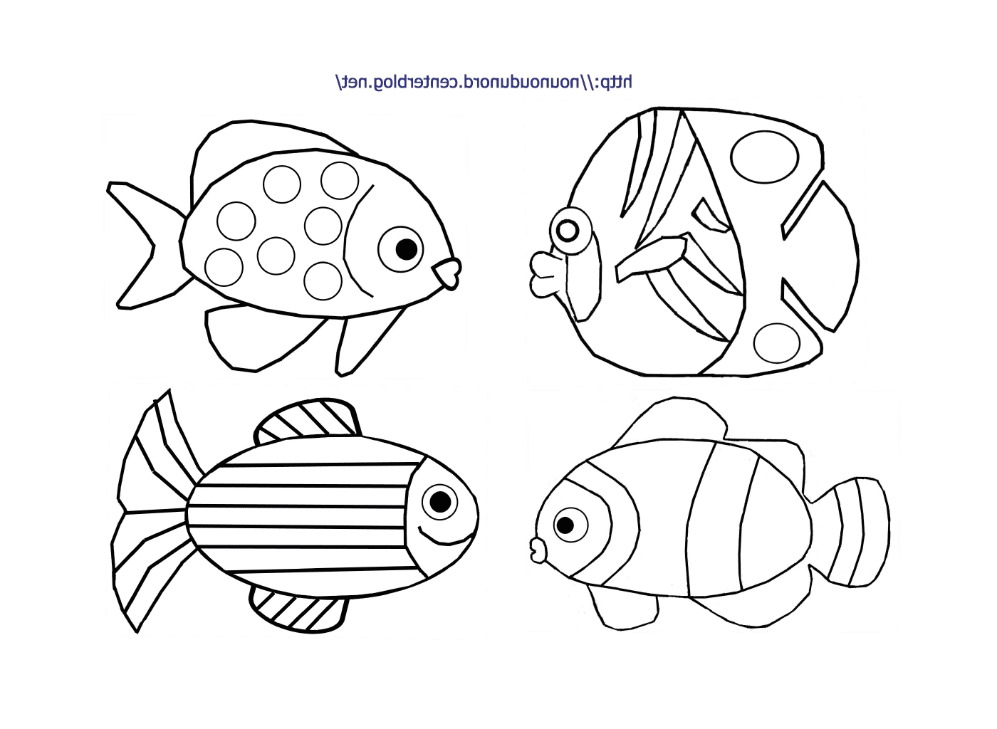   Groupe de quatre poissons différents 