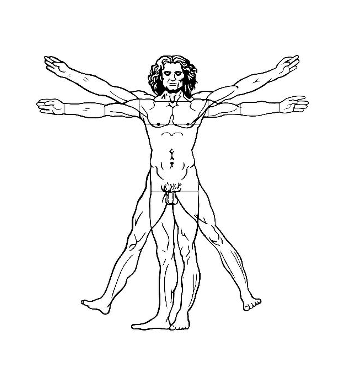   un homme avec les bras tendus selon l'Homme de Vitruve de Léonard de Vinci 