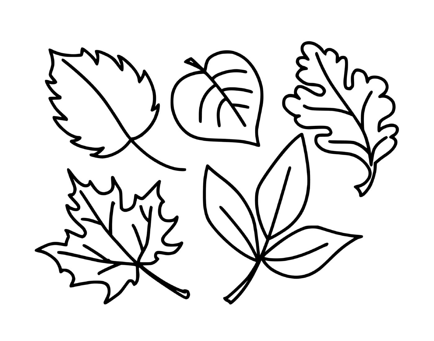   Plusieurs feuilles dessinées de la saison d'automne 