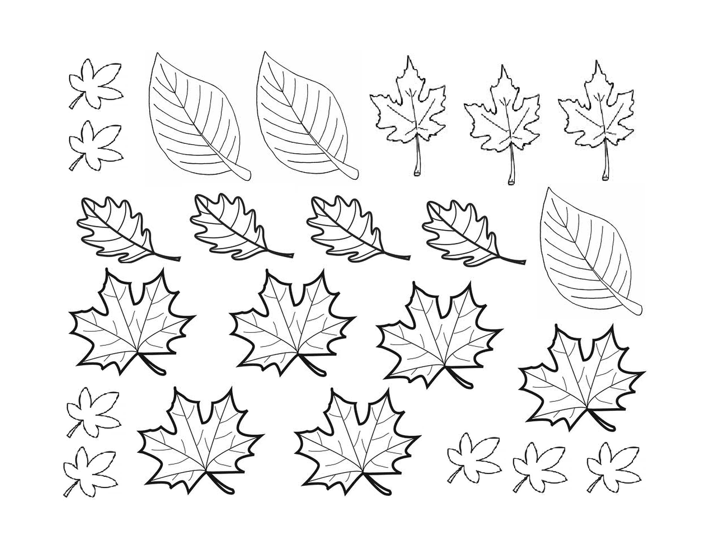   Plusieurs feuilles dessinées d'automne 