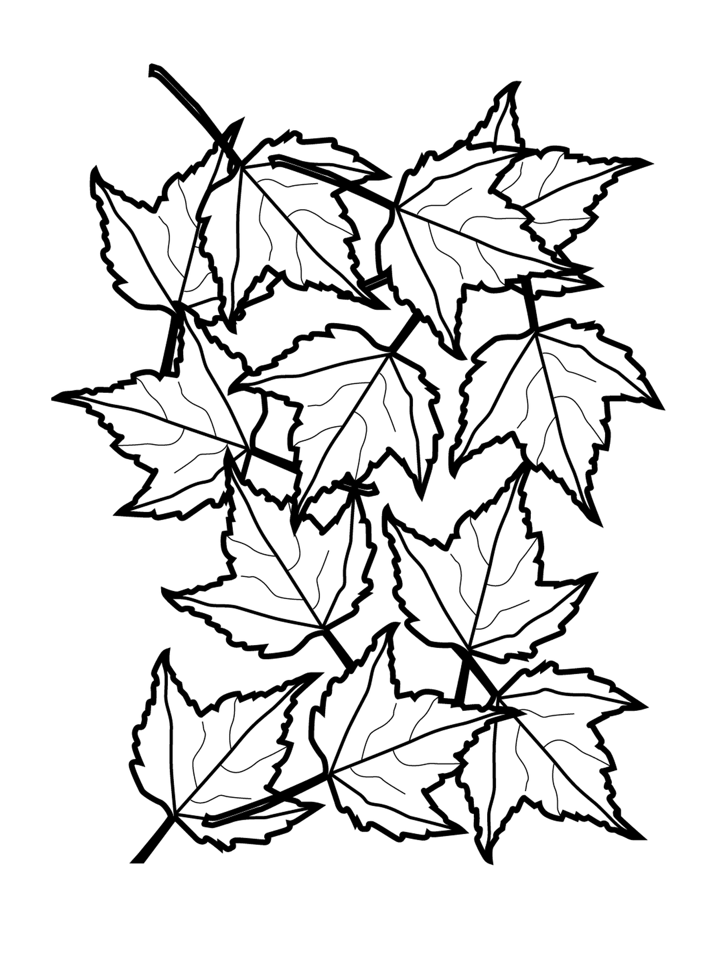   Ligne d'une multitude de feuilles d'automne 