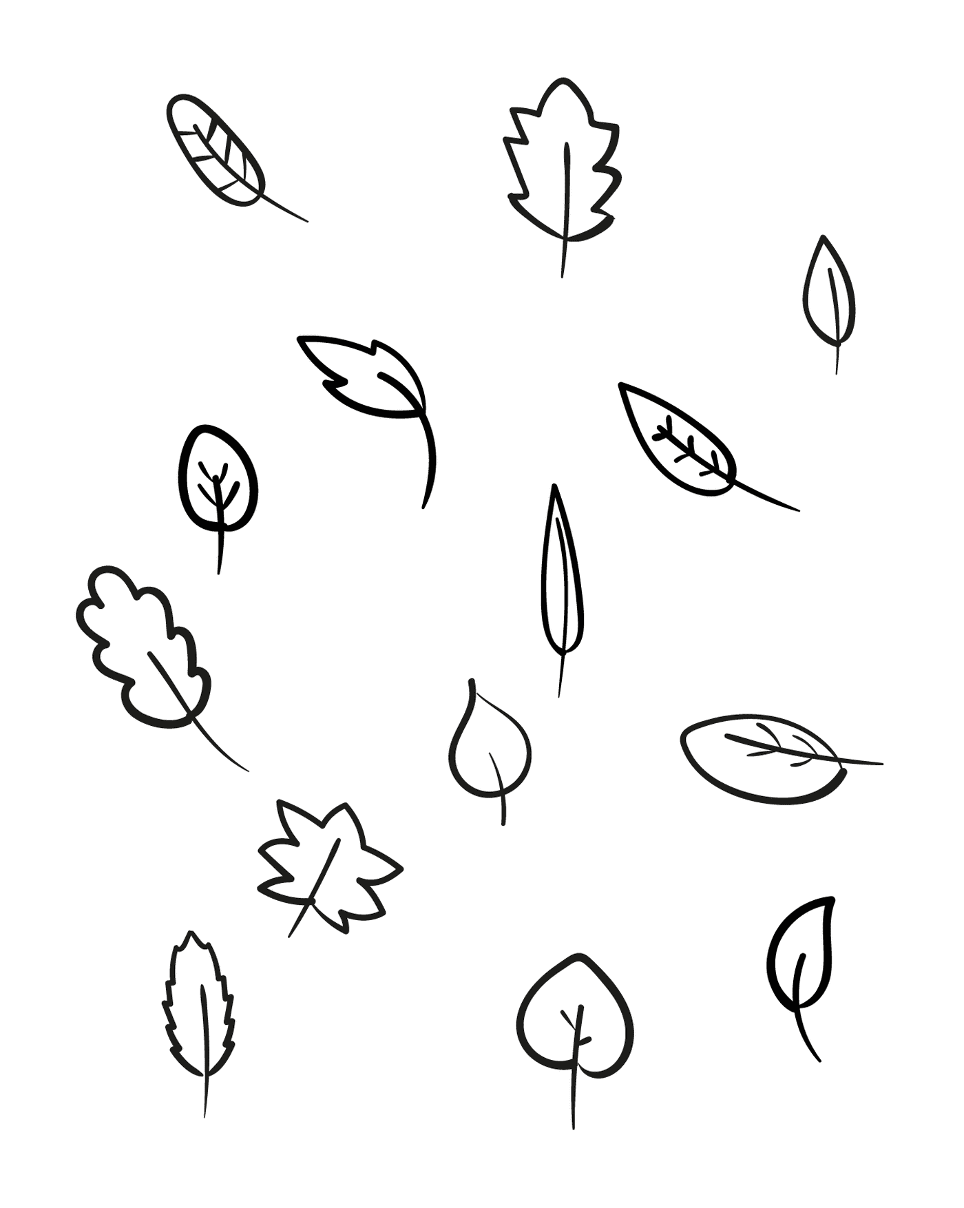   Plusieurs feuilles différentes dessinées à l'encre noire 