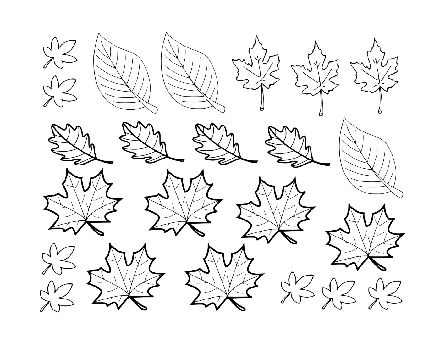   Un ensemble de feuilles dessinées 