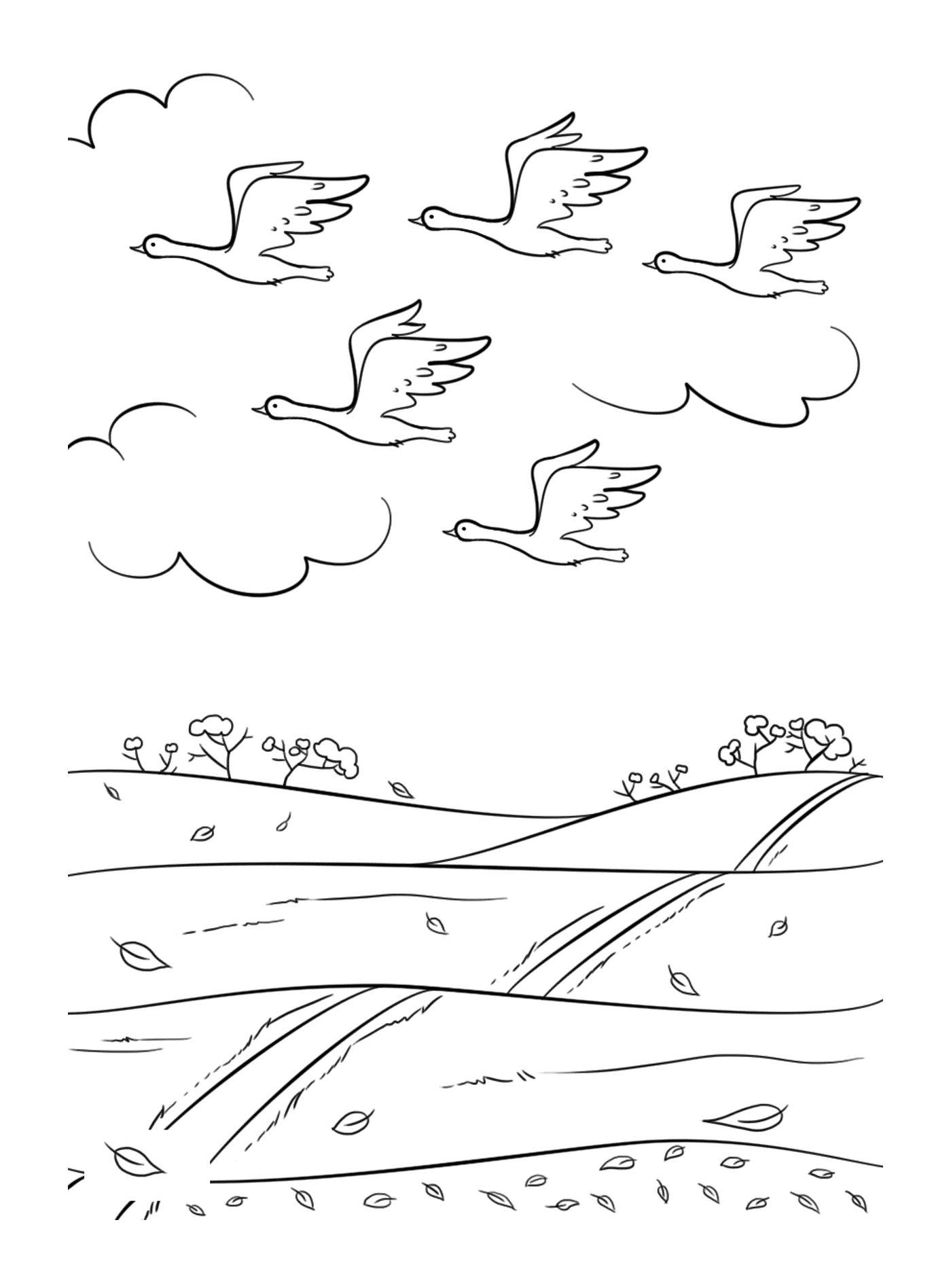   Un groupe d'oiseaux survolant un champ 