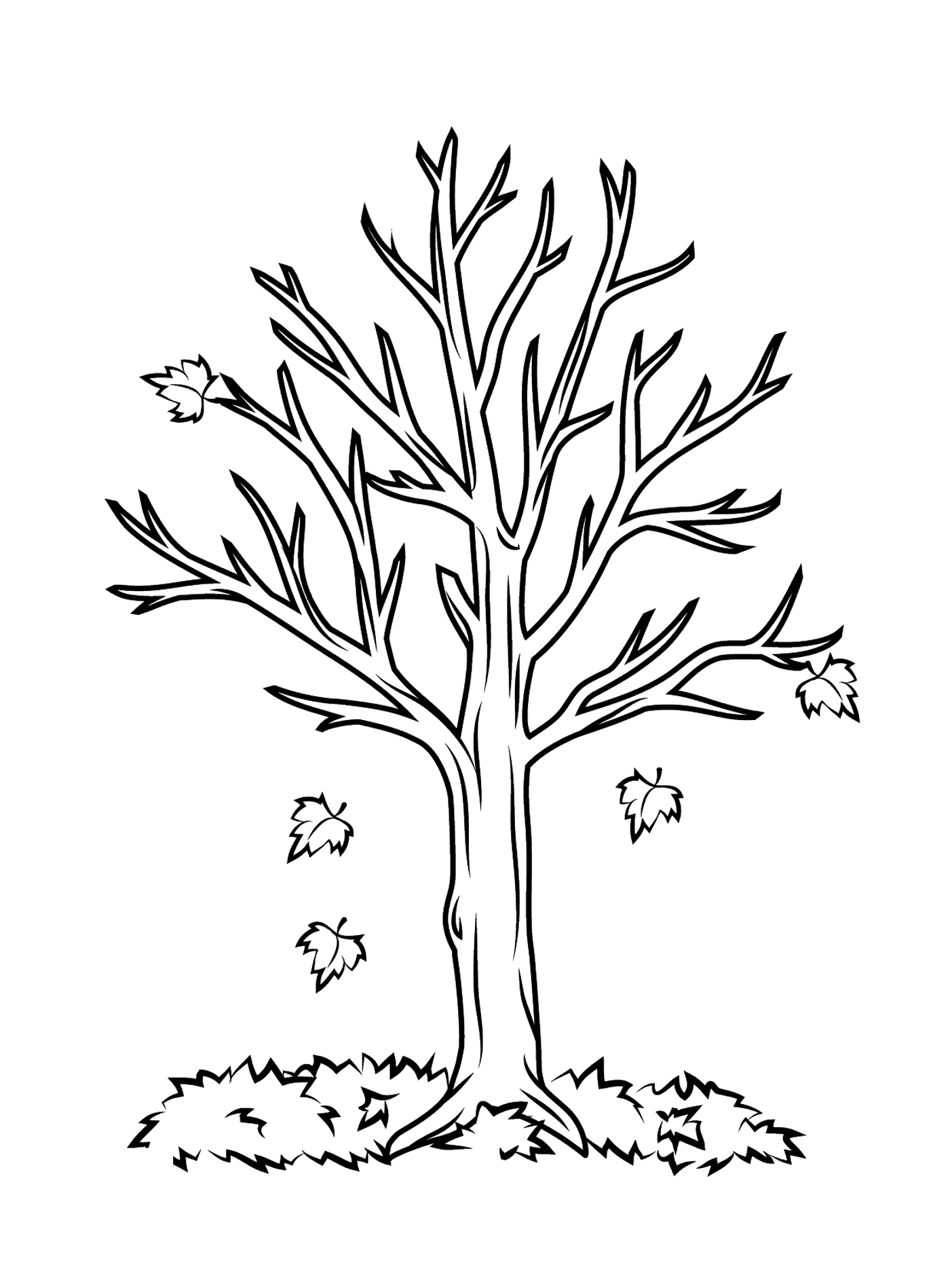   Un arbre dénudé 