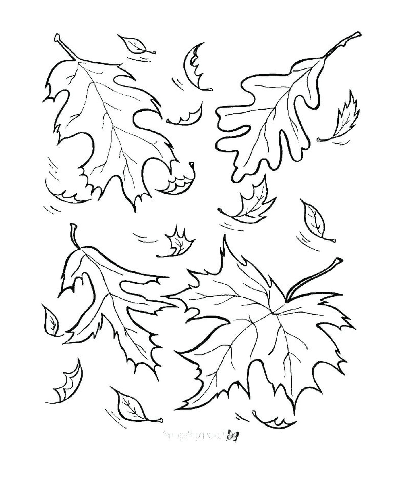   Des feuilles qui tombent dans le vent 