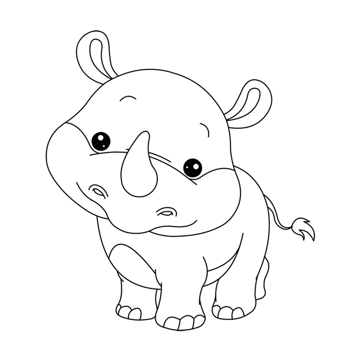   Un rhinocéros bébé regardant la caméra 