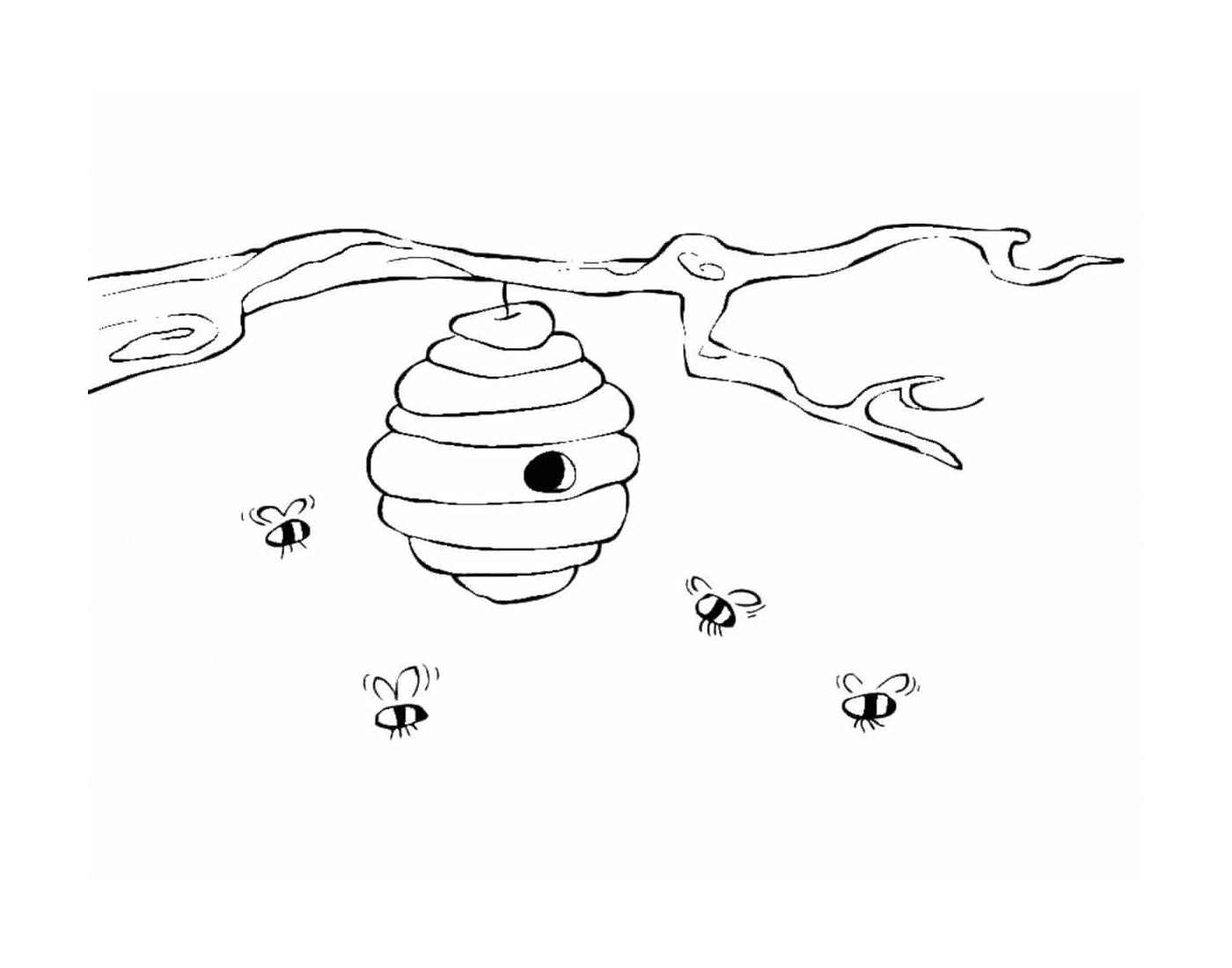   Ruche abeille habitat naturel 