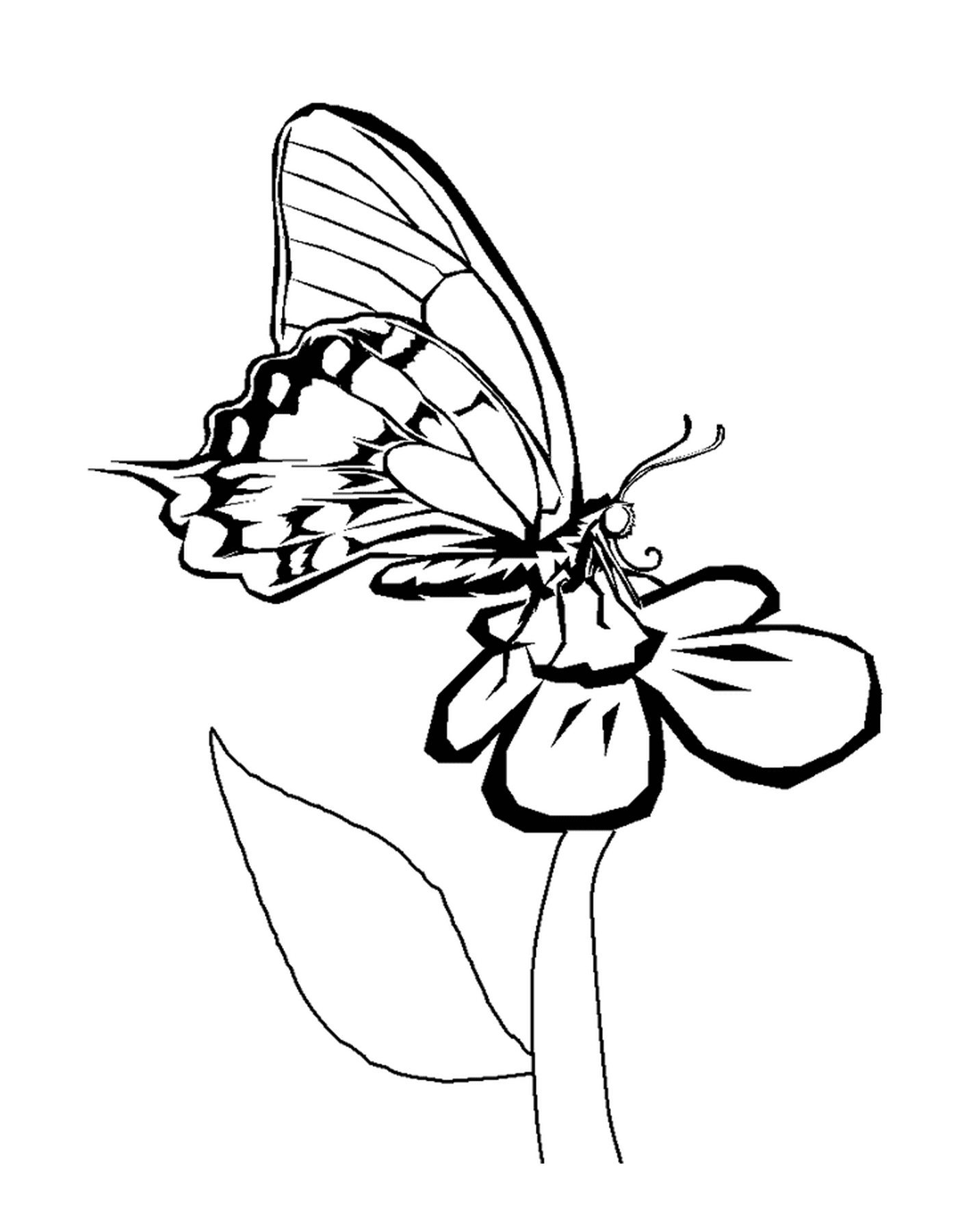   papillon posé sur fleur 