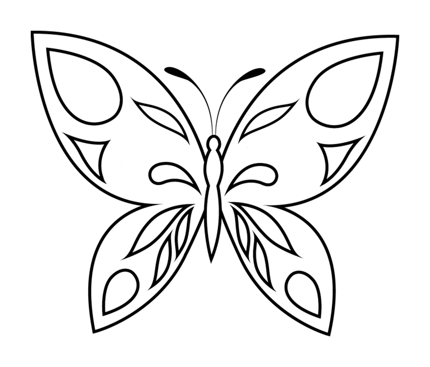   Délicat papillon aux ailes déployées 