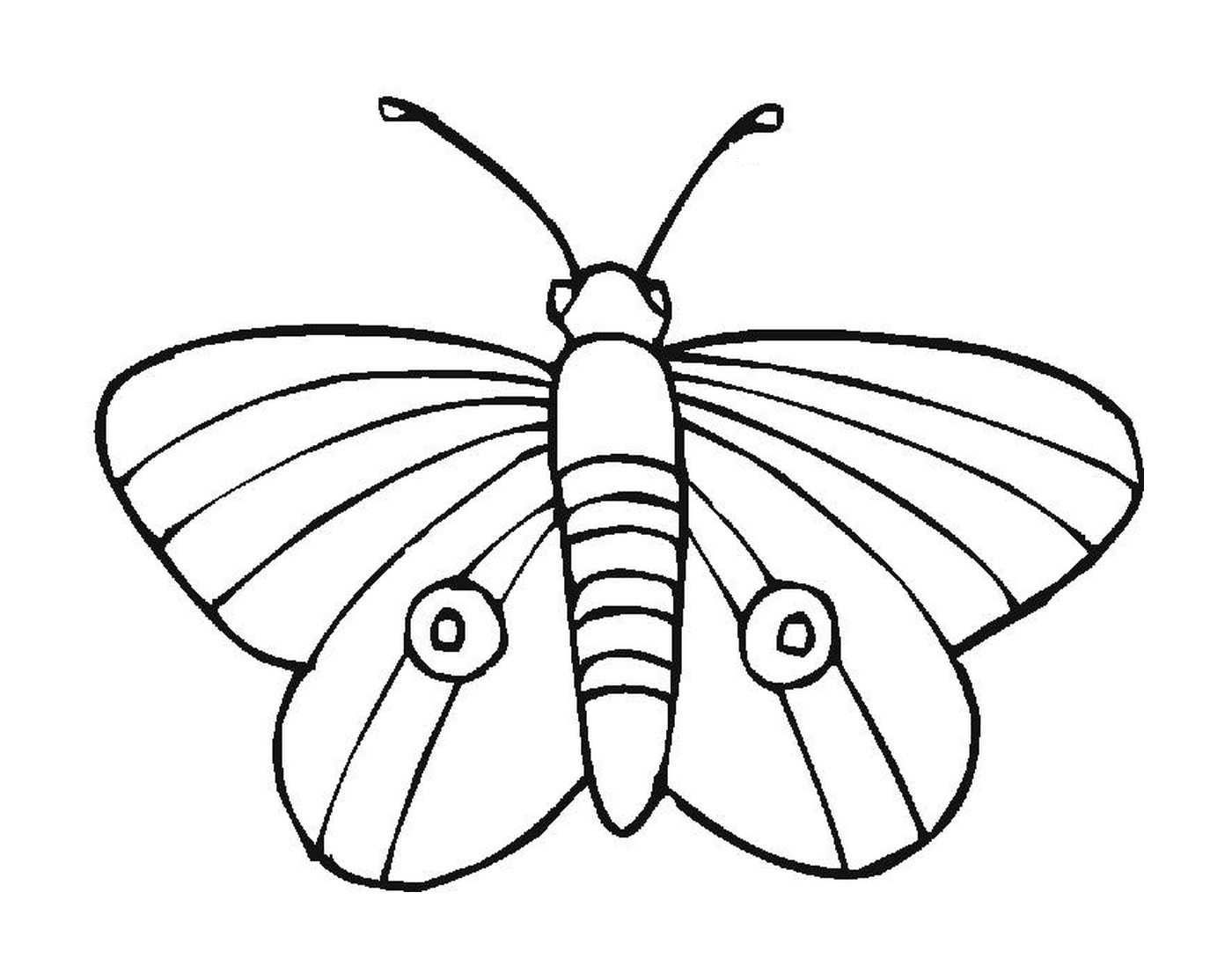   Papillon délicat aux motifs uniques 