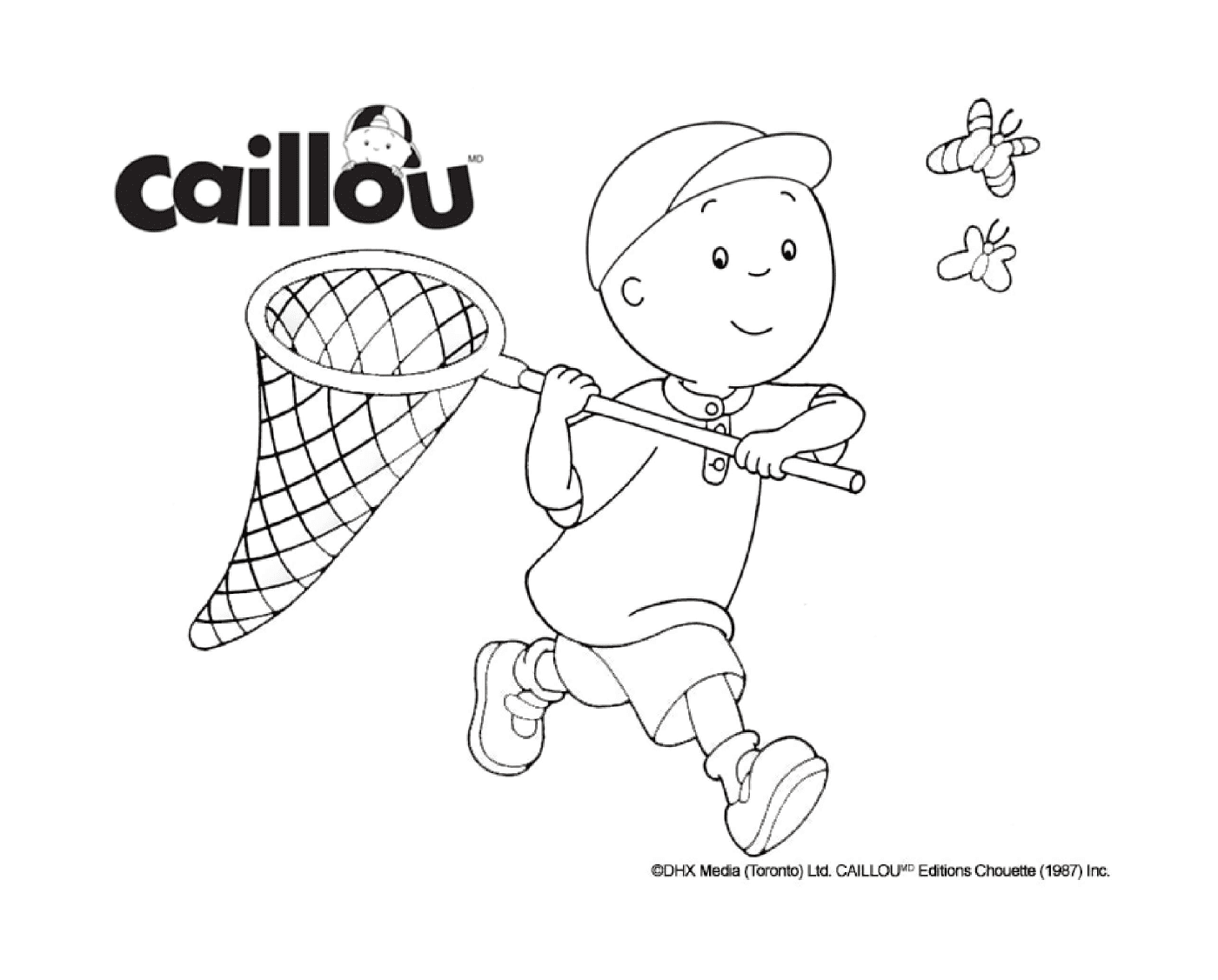   Caillou chasse les papillons 