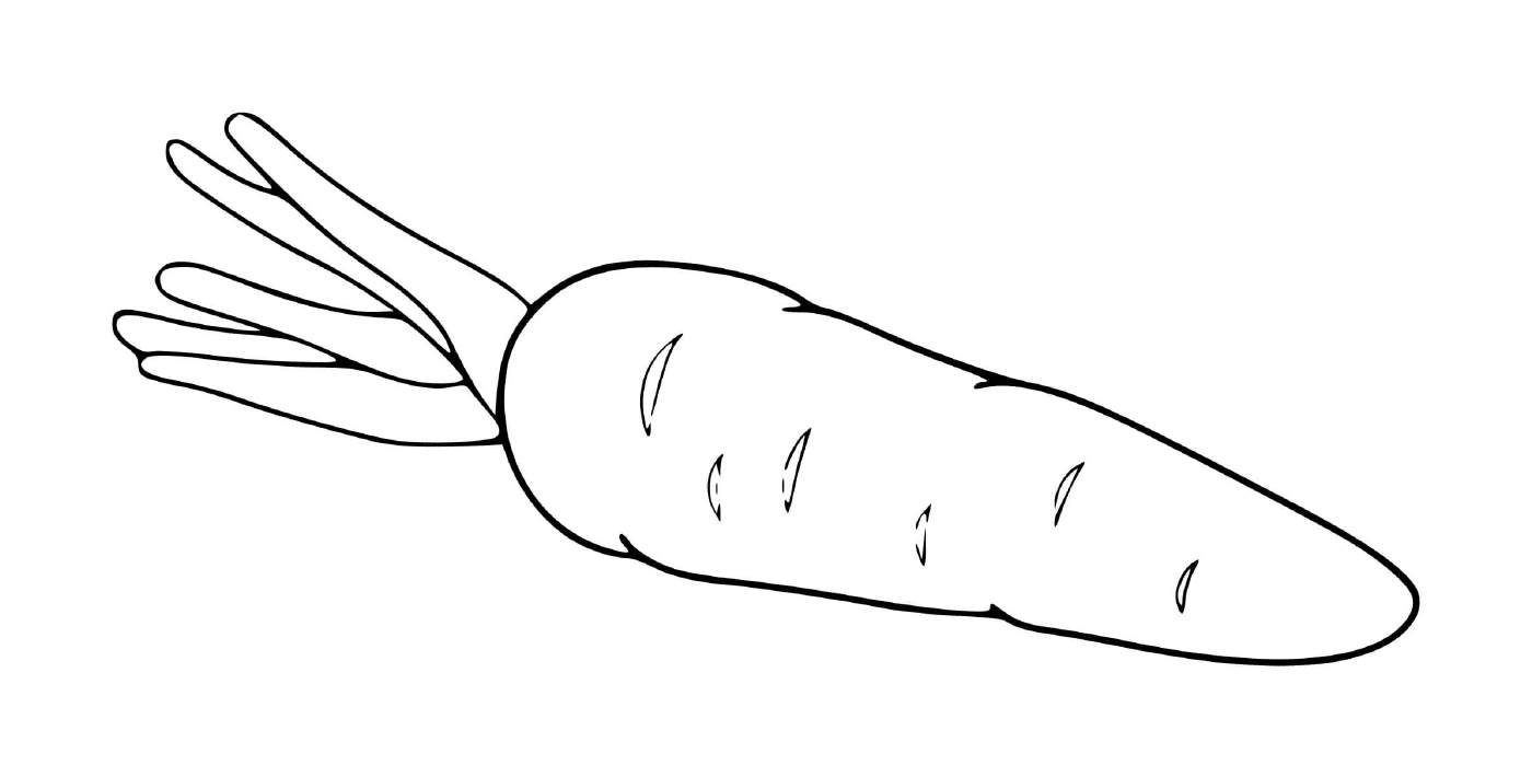  Carotte simple, une carotte sur fond blanc
