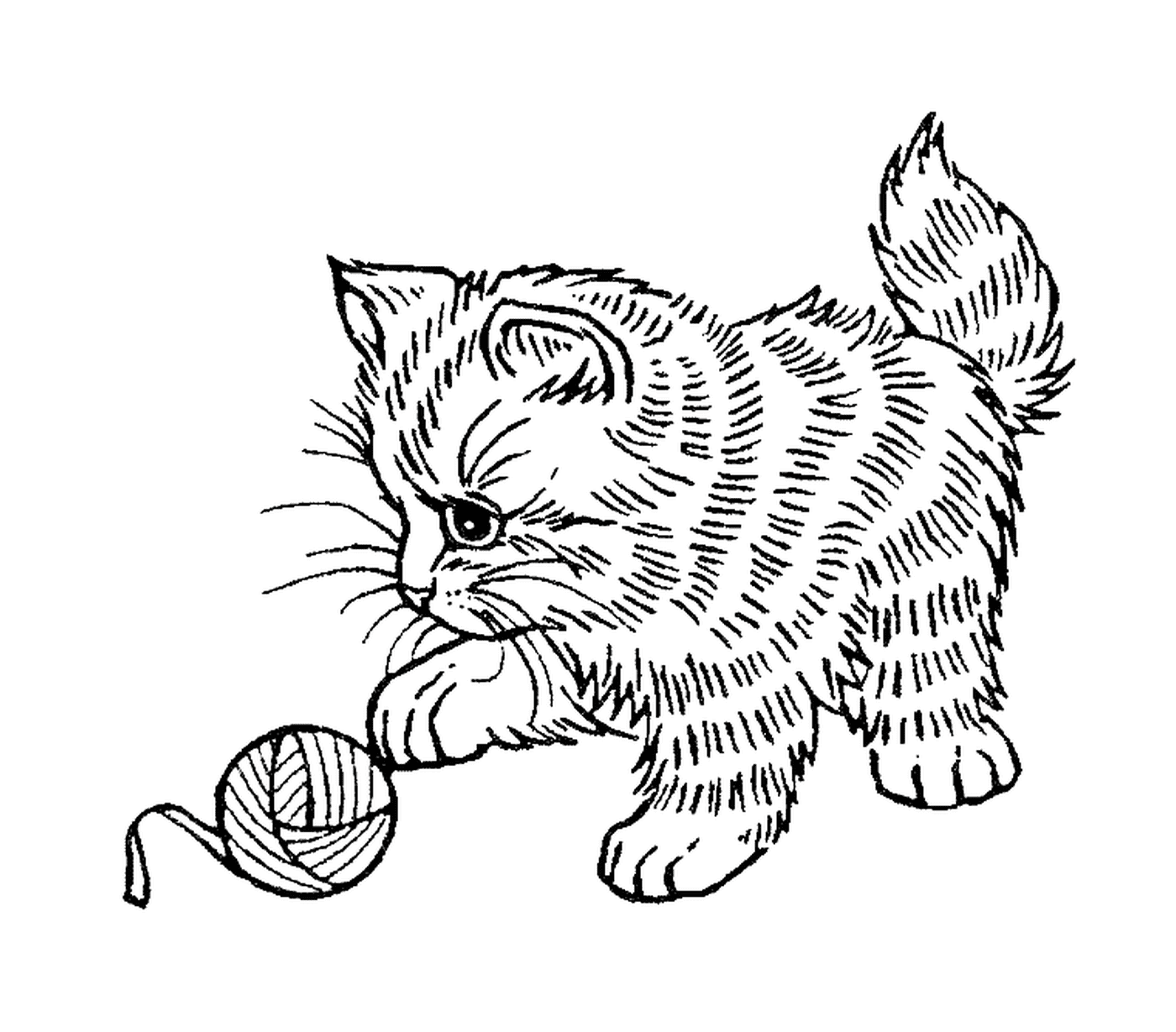   Un adorable chat qui joue avec une balle de laine 