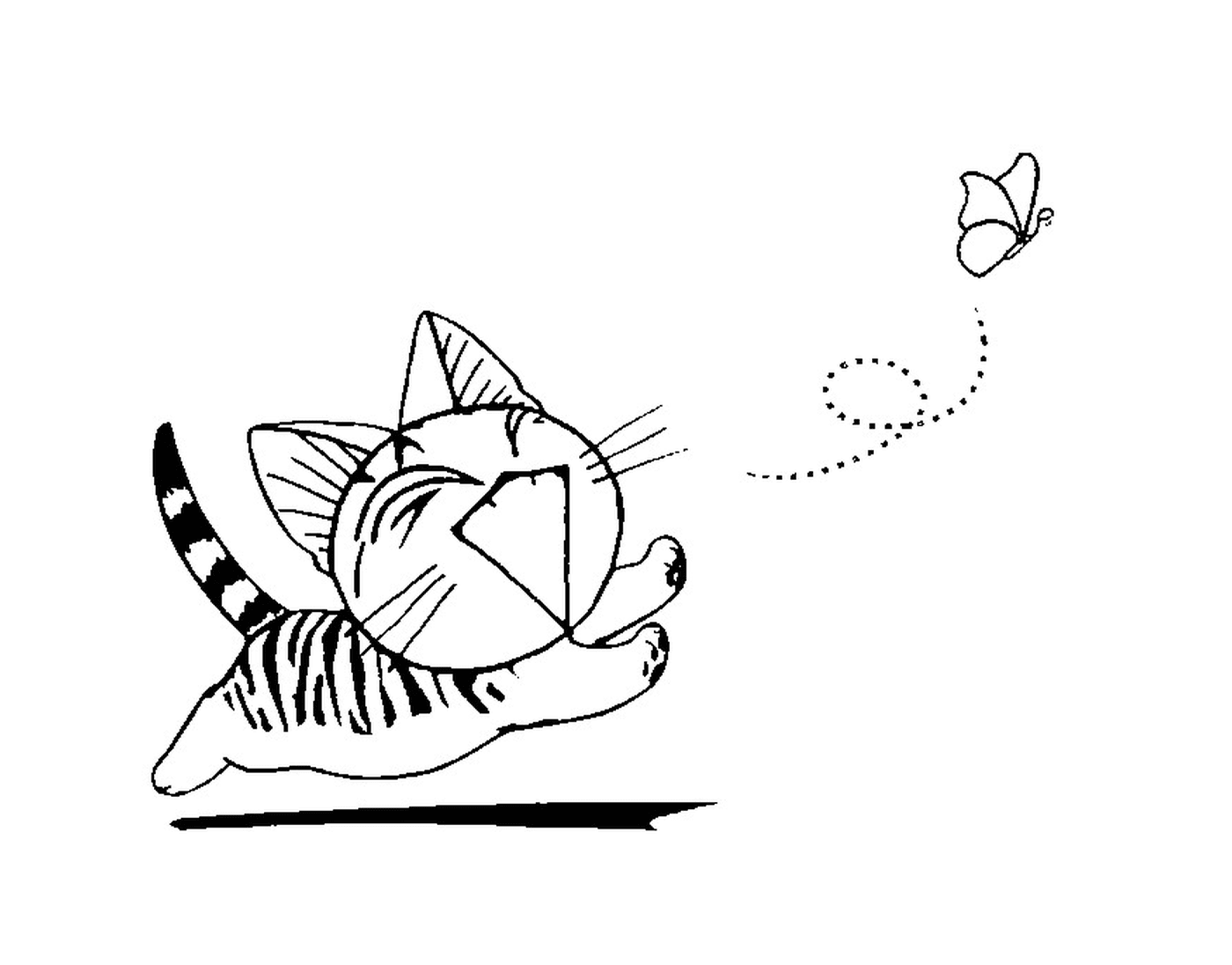  Un chat chinois courant après un papillon 