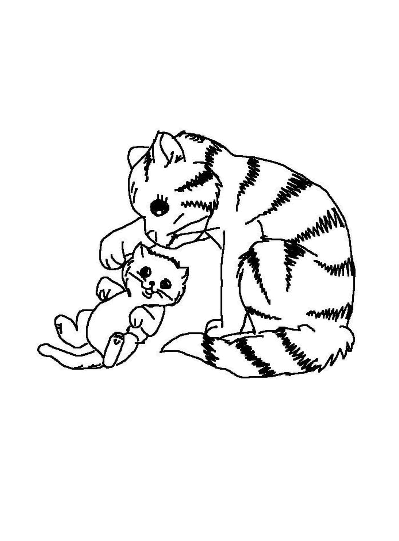   Un chat joue avec un chaton 