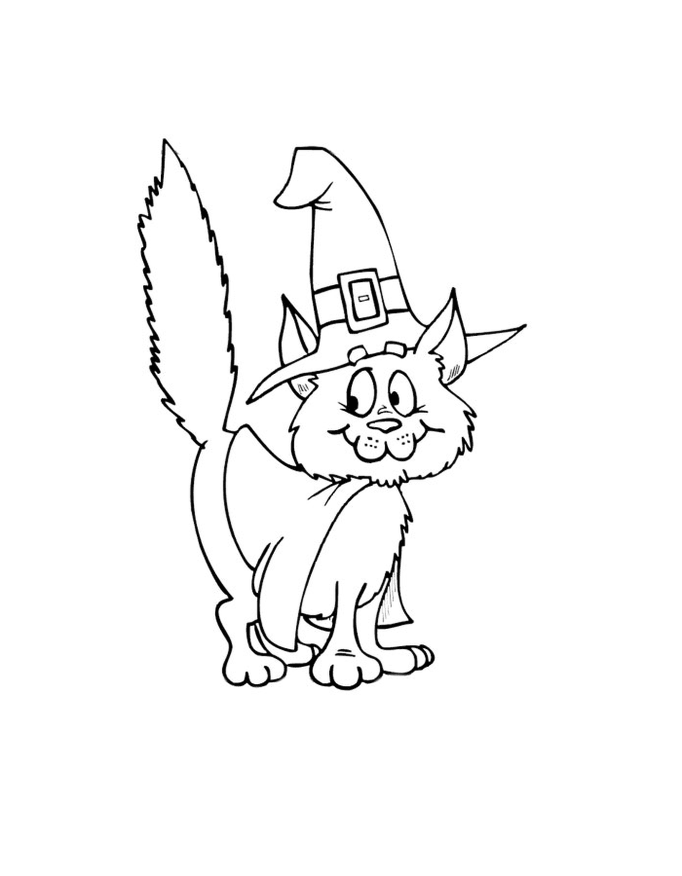   Un chat pour Halloween avec un chapeau de sorcière 