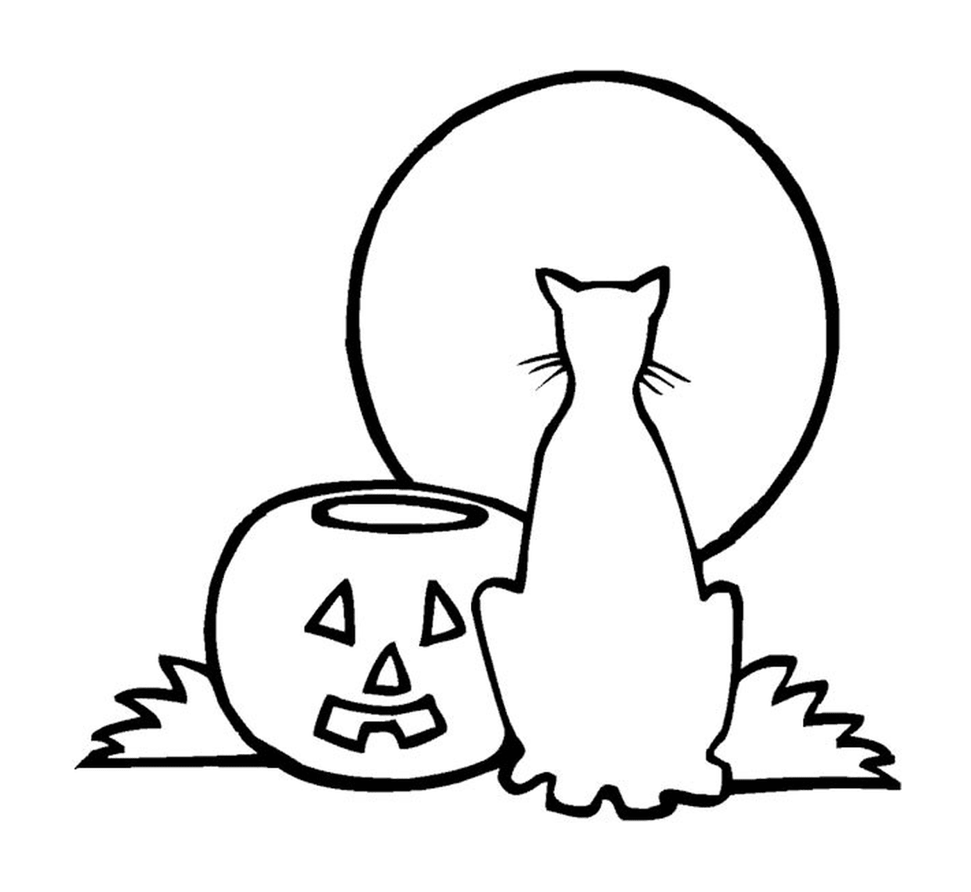   Un chat et une citrouille pour Halloween 