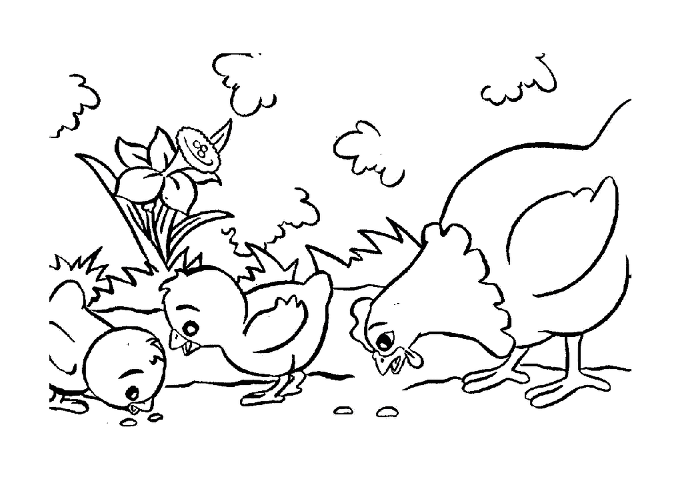   Poules piquant joyeusement ensemble 
