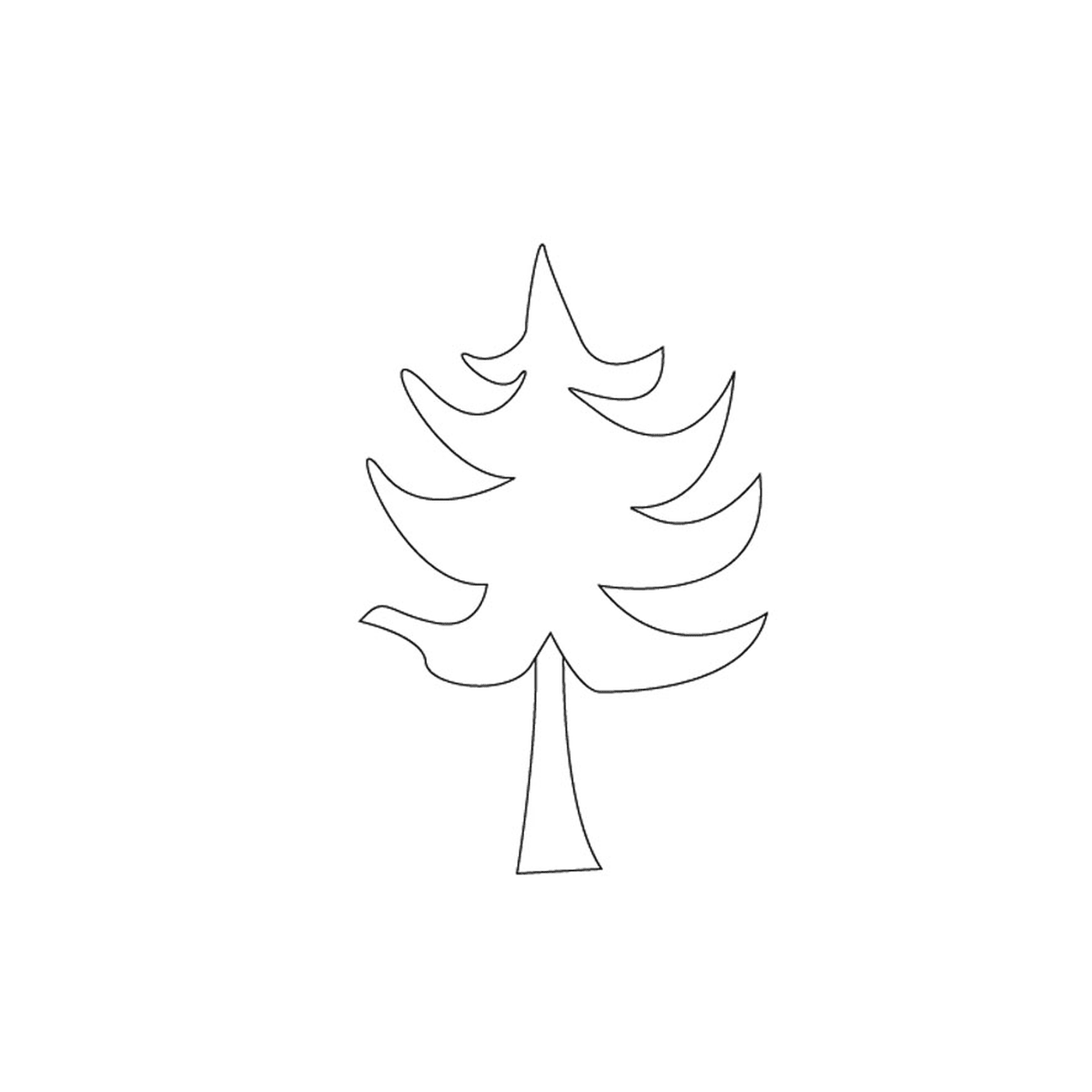   Sapin de Noël, pine tree 