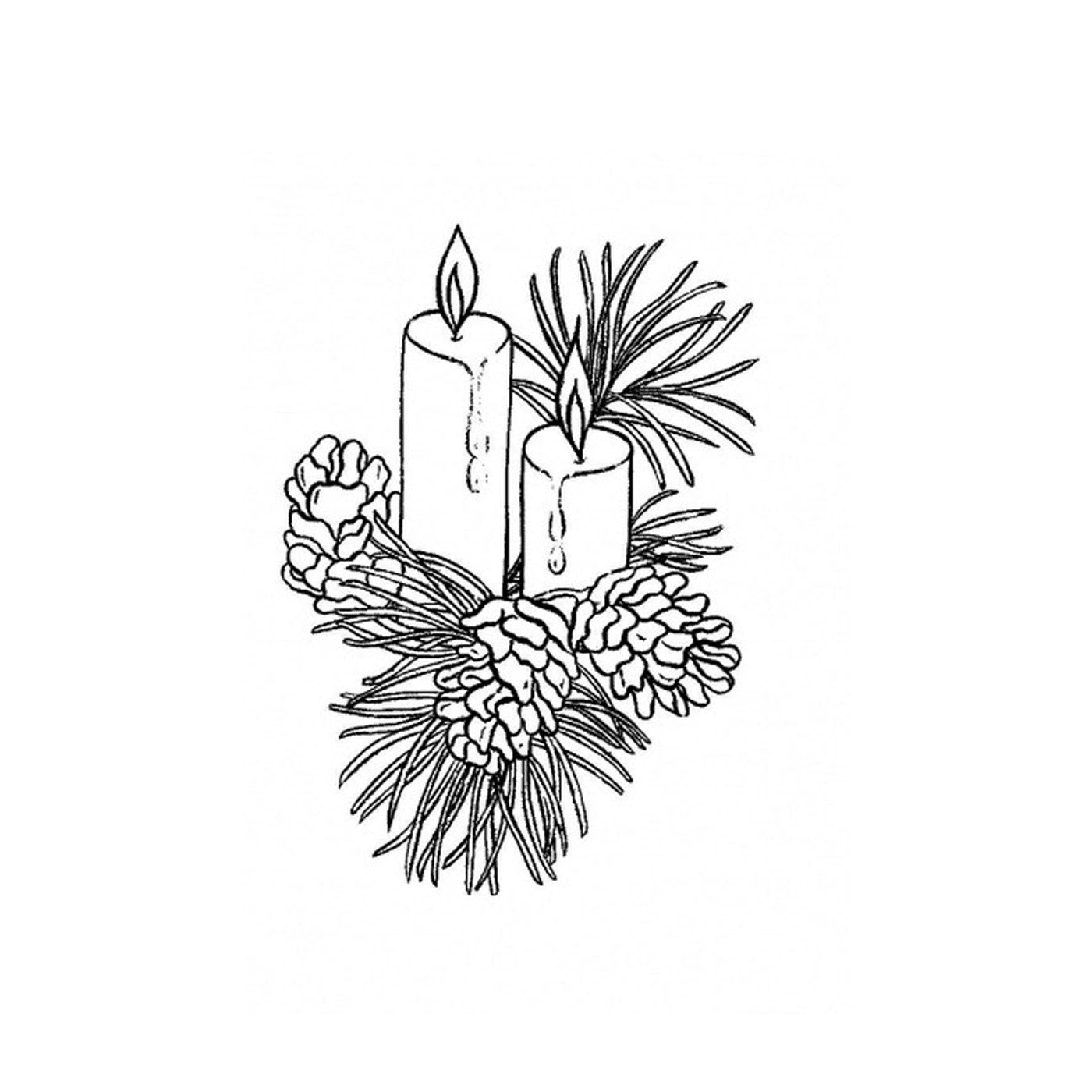   Deux bougies allumées sur une branche de pin 
