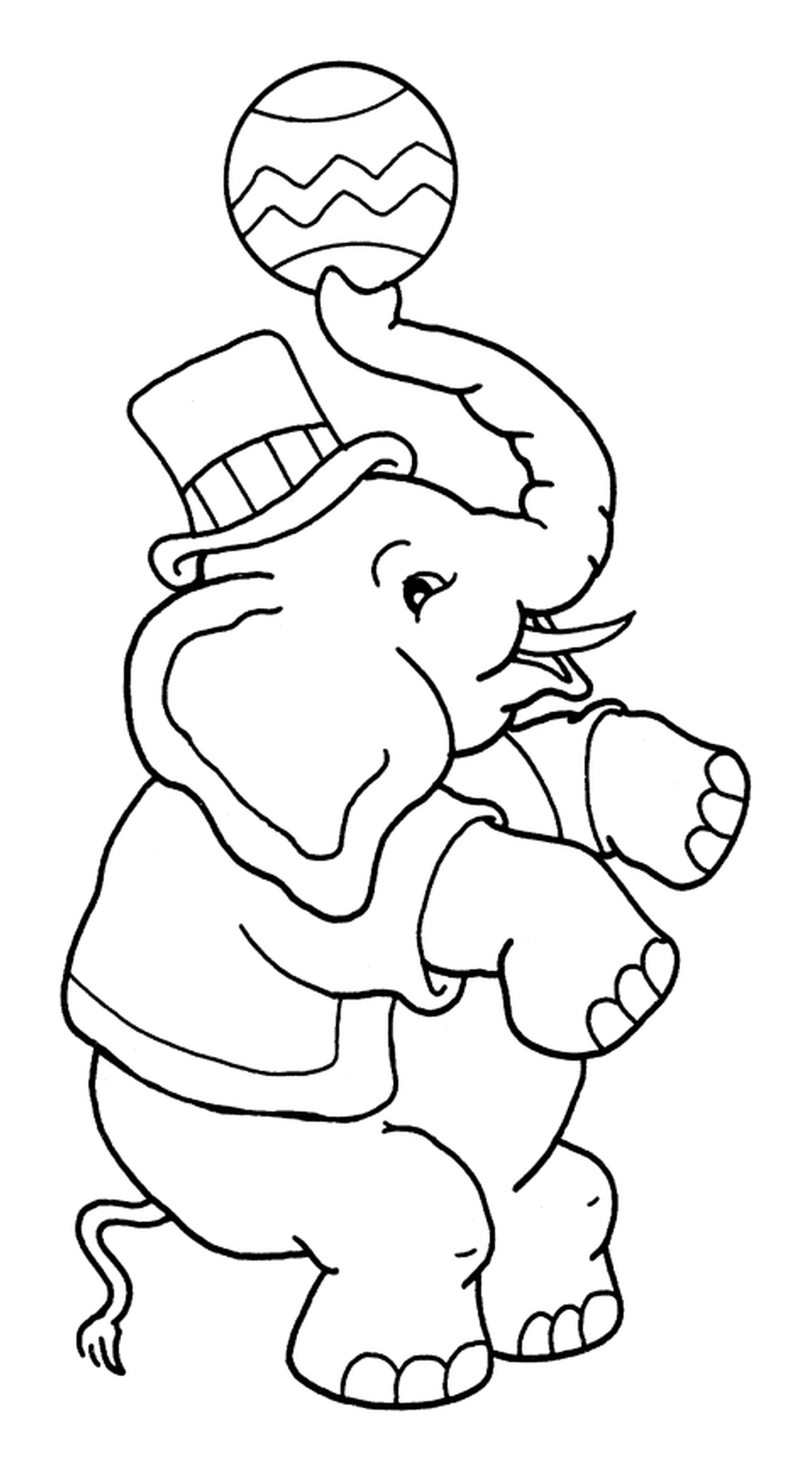  Un éléphant jongleur pour le cirque 