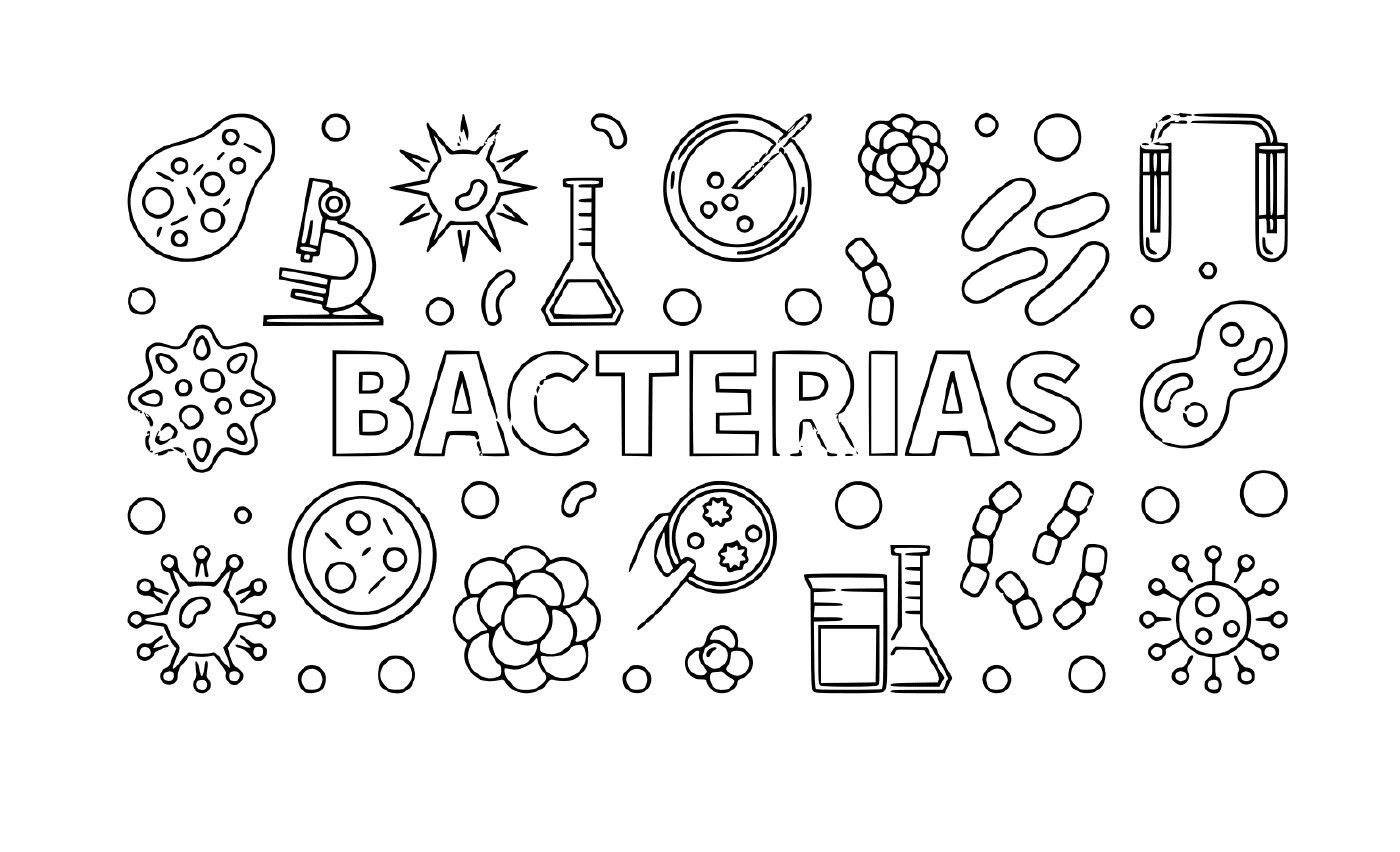   Des bactéries 
