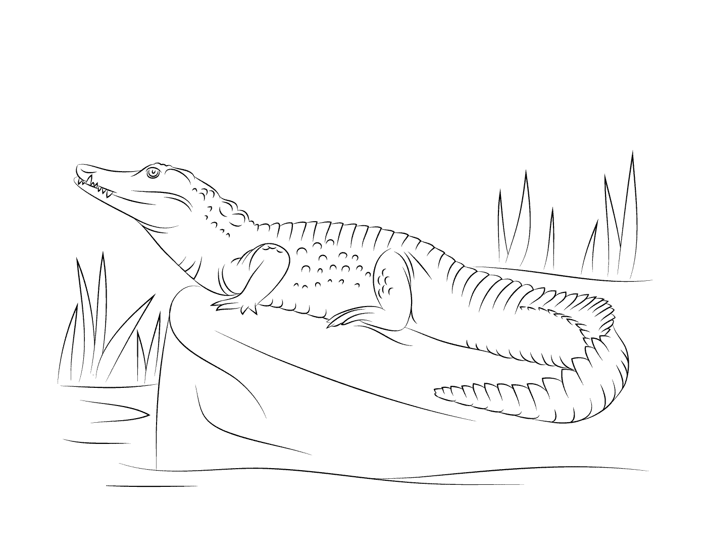   Un crocodile du Nil vu de profil, assis sur un rocher 
