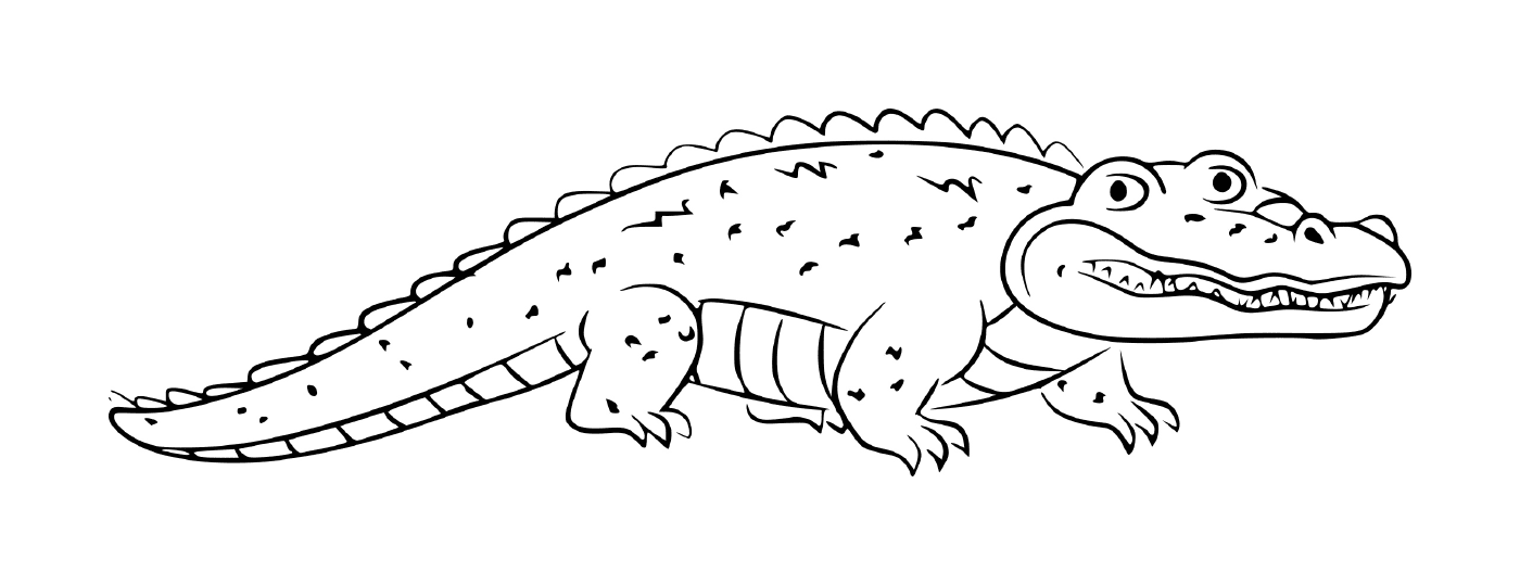   Un crocodile alligator avec une apparence proche de l'iguane 