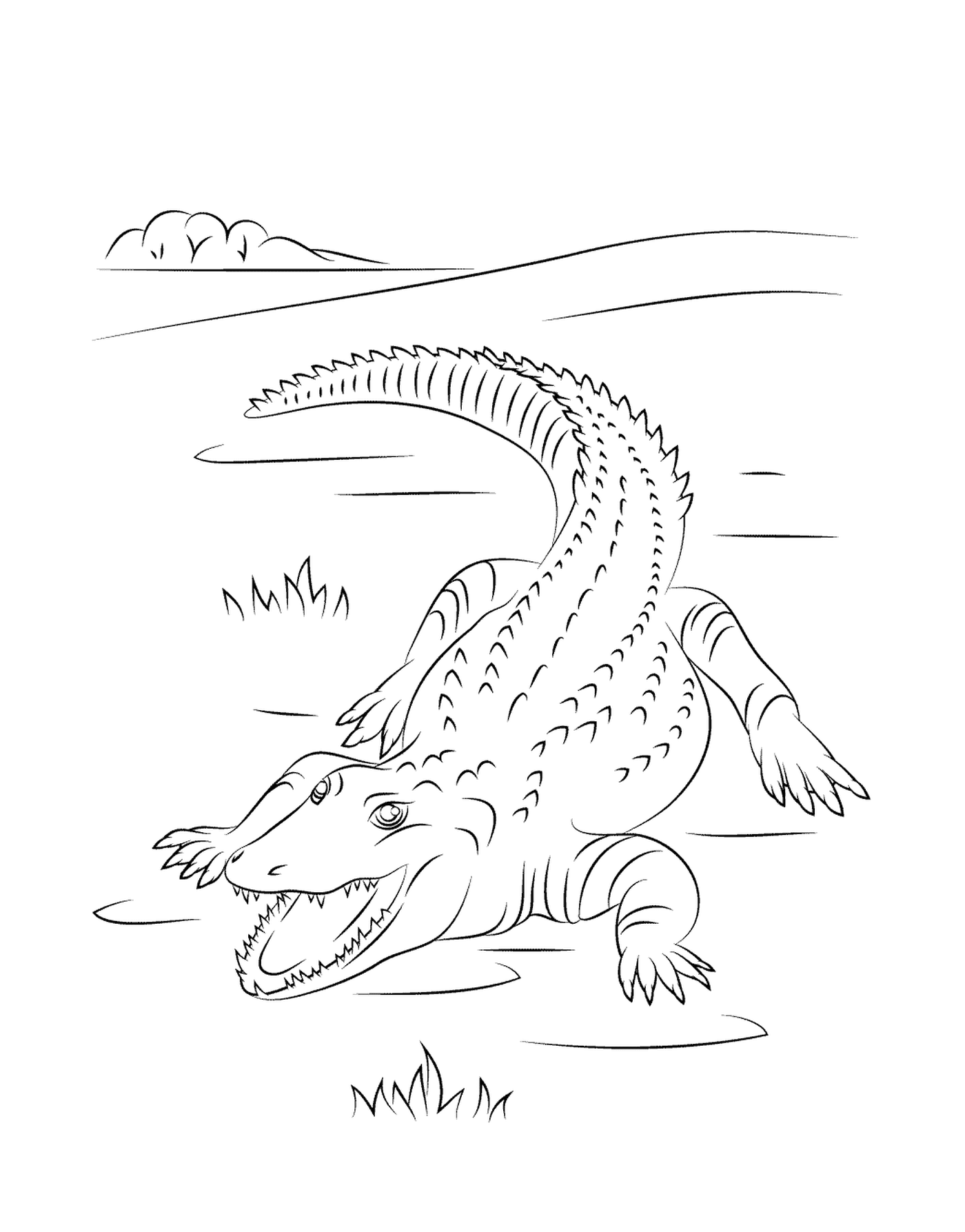   Un crocodile du Nil mignon dans l'eau 