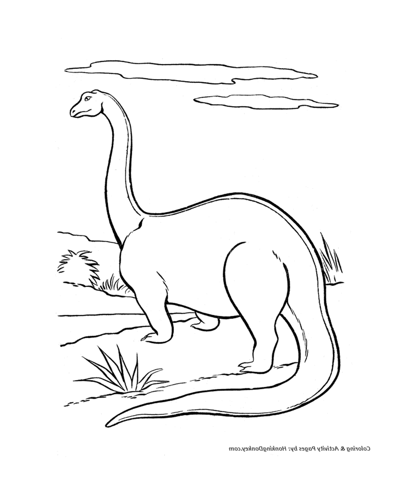   Dinosaure à long cou et à longues pattes 