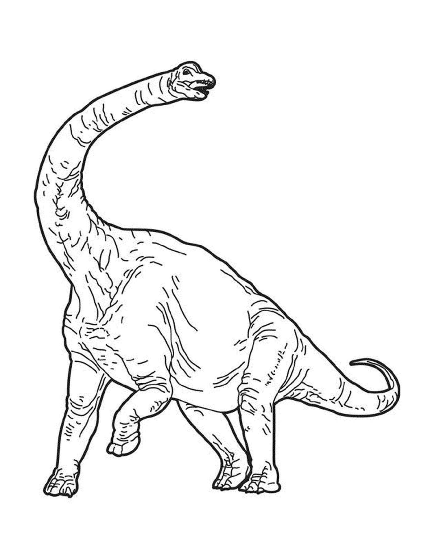   Un dinosaure avec une longue queue 