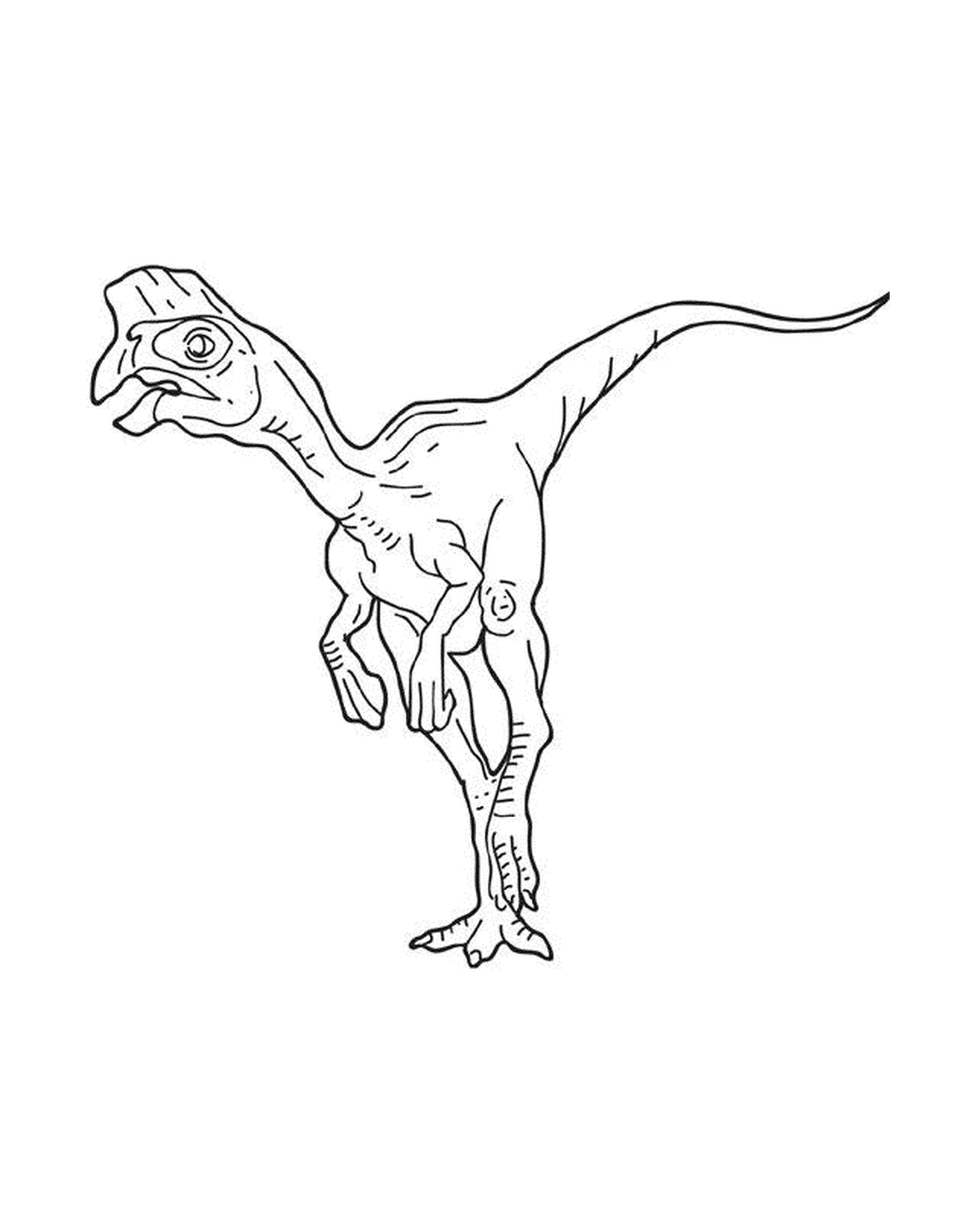   Un dinosaure oviraptor debout 