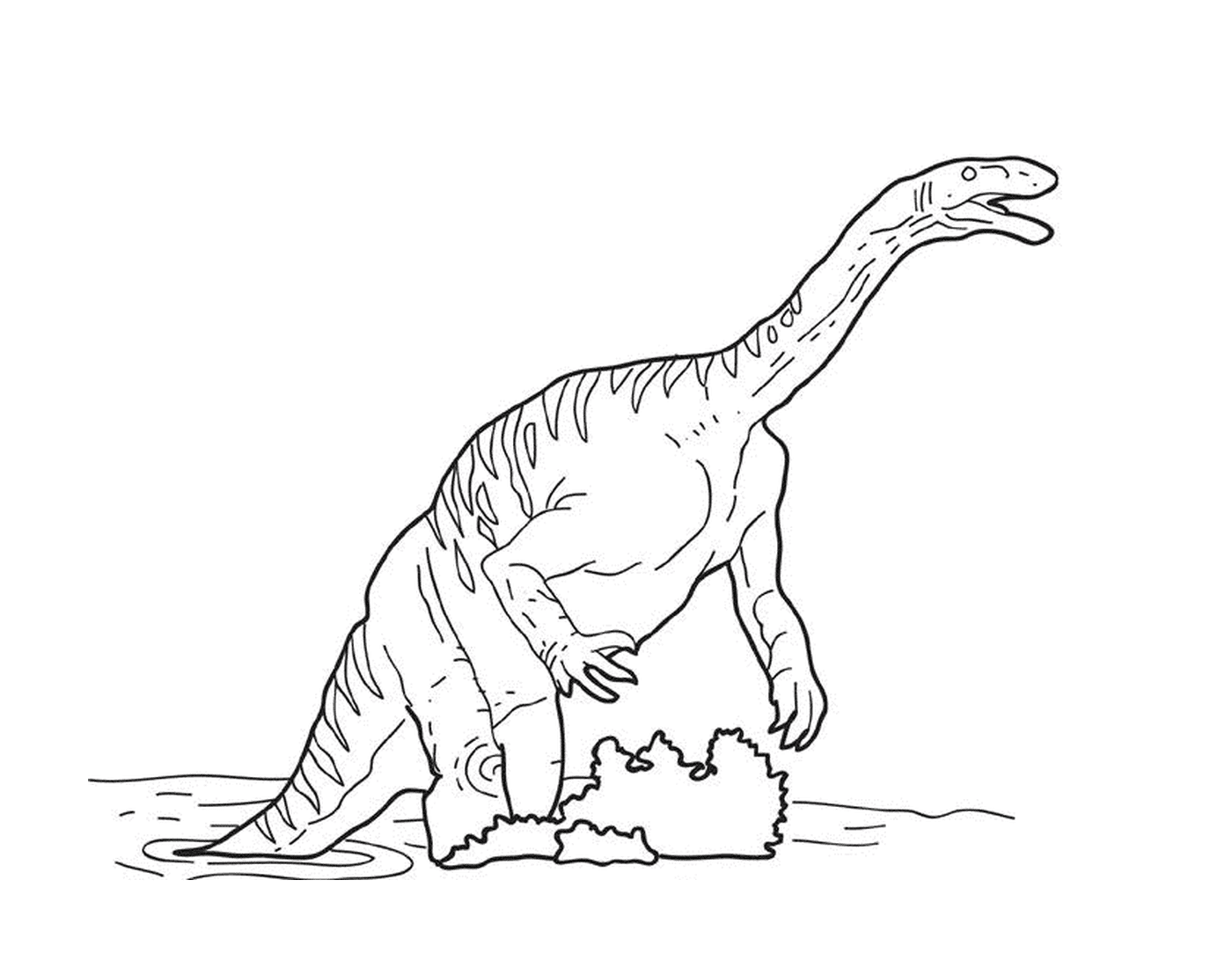   Un dinosaure jouant dans l'eau 