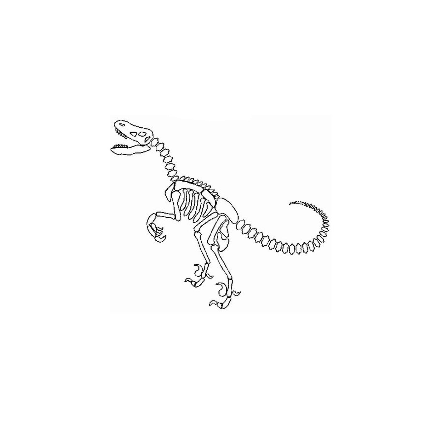   Un squelette de dinosaure avec un os dans la bouche 