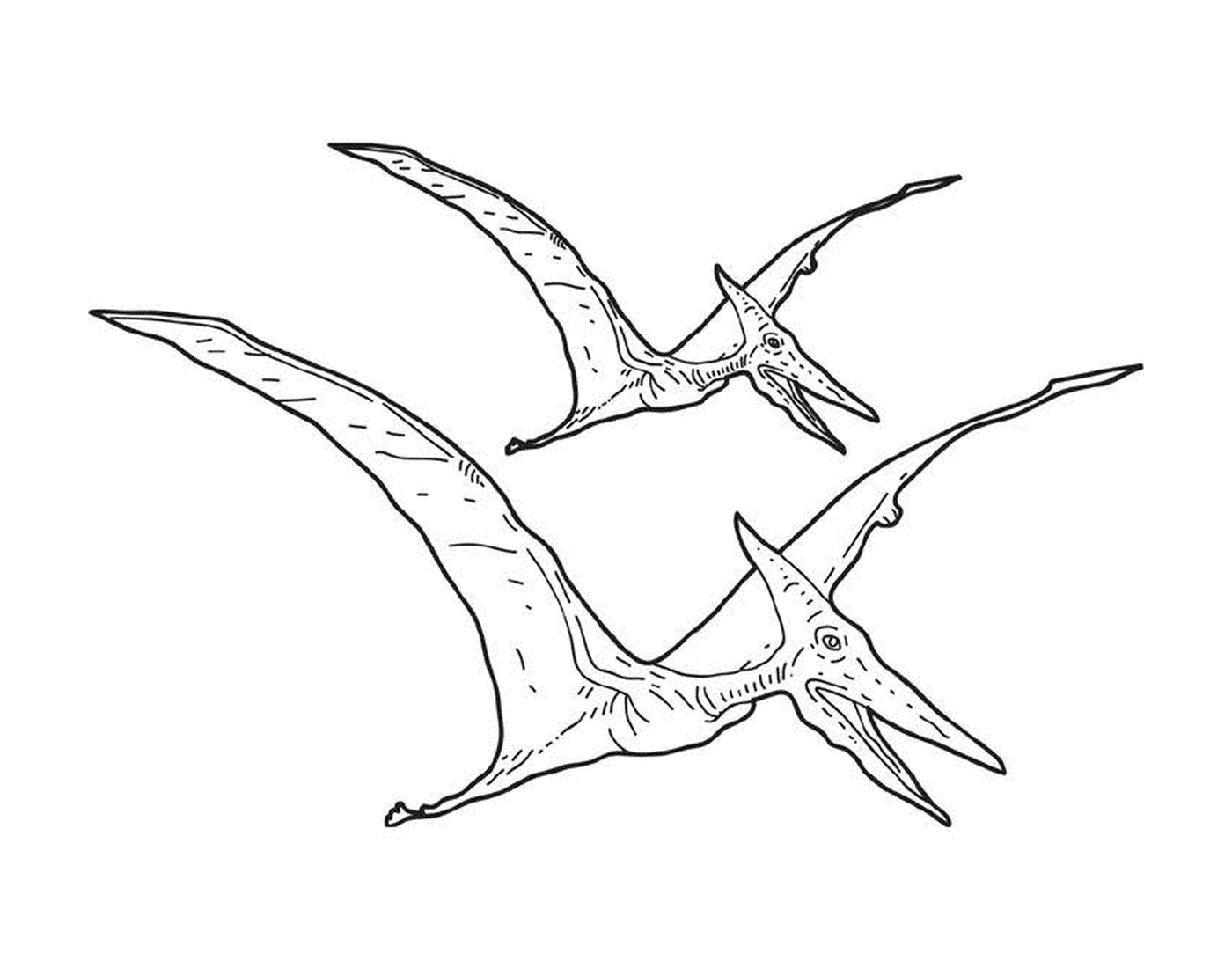   Deux ptérodactyles volent dans les airs 