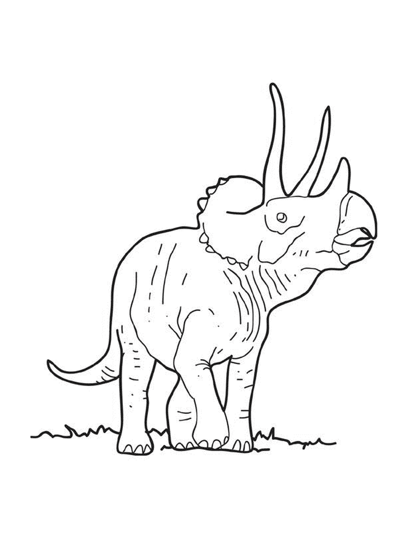   Un tricératops adulte dans l'herbe 