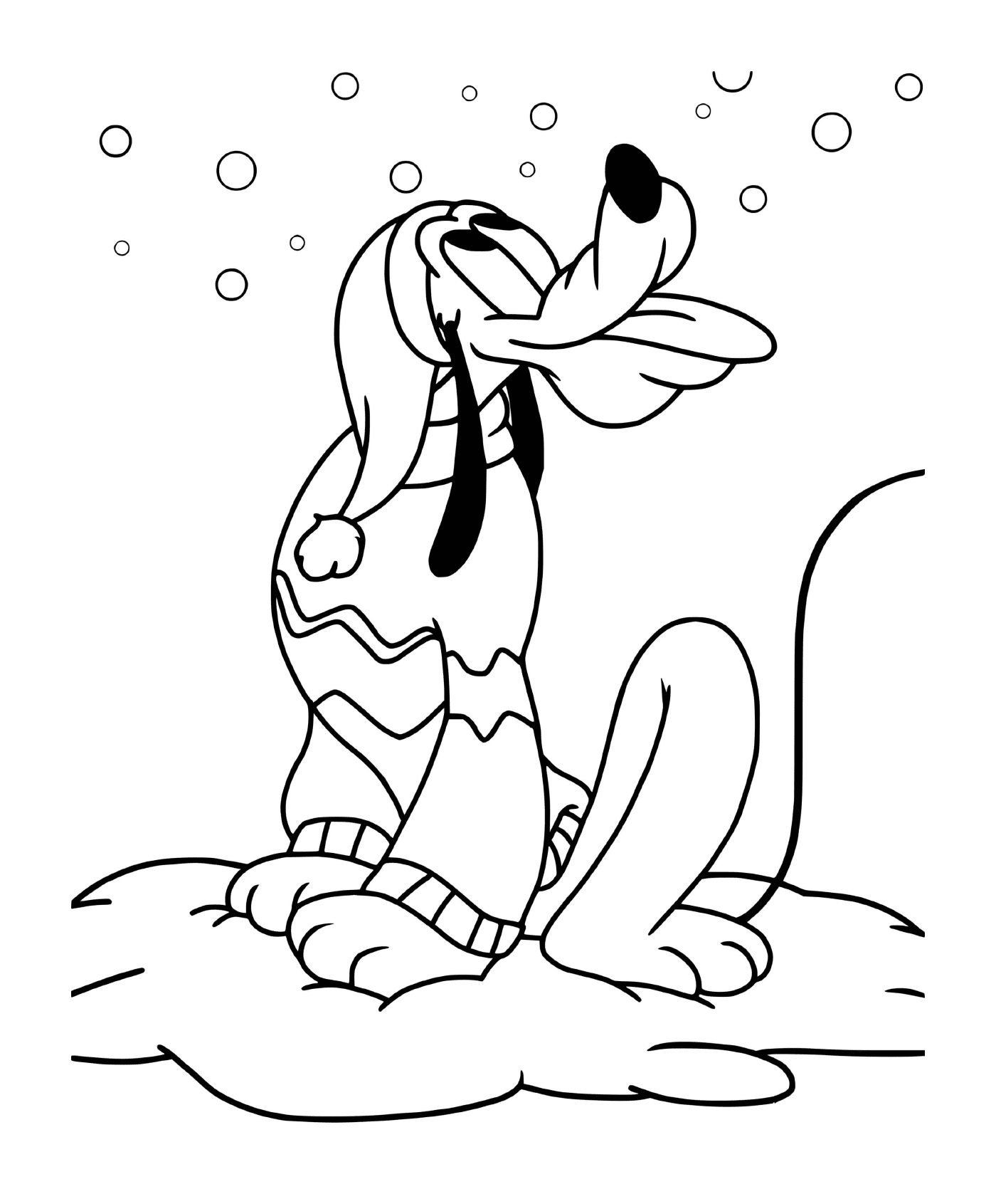   Pluto mangeant de la neige qui tombe 