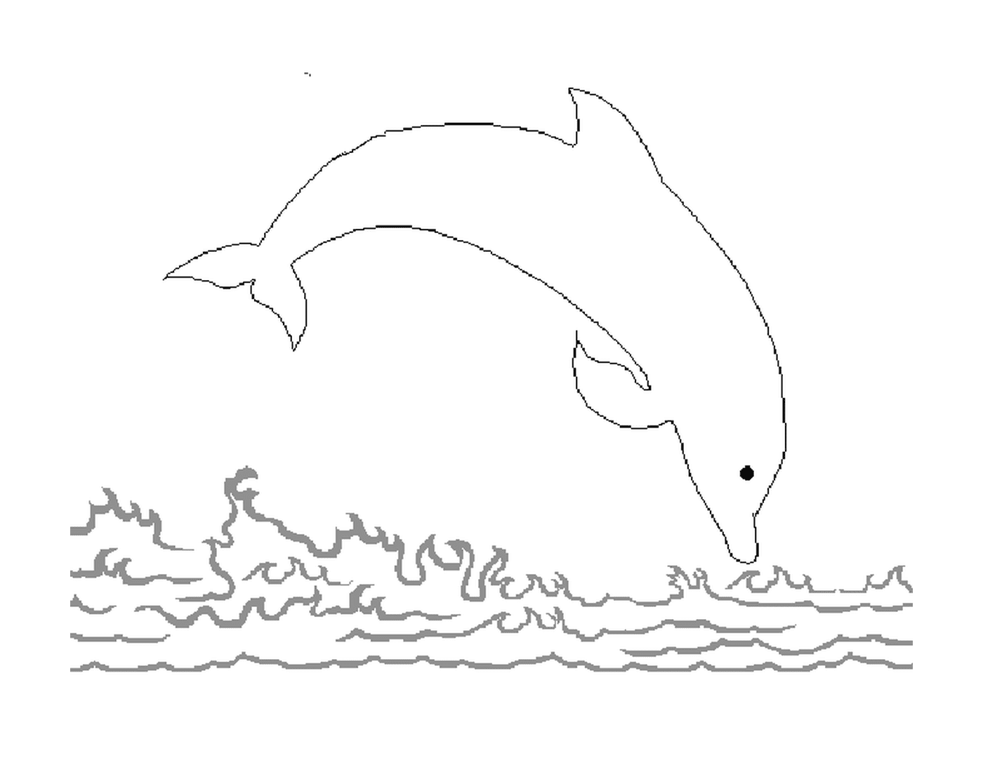   Un dauphin qui saute dans l'eau 