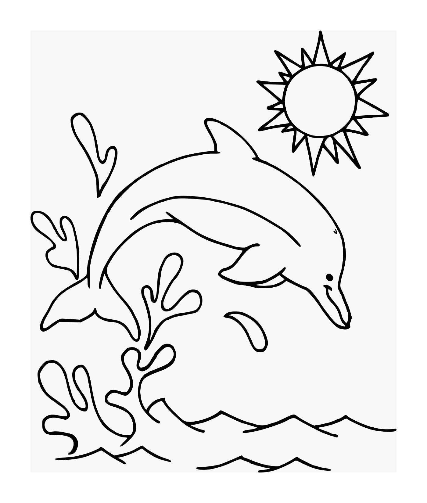   Un dauphin qui saute dans l'eau sous le soleil 