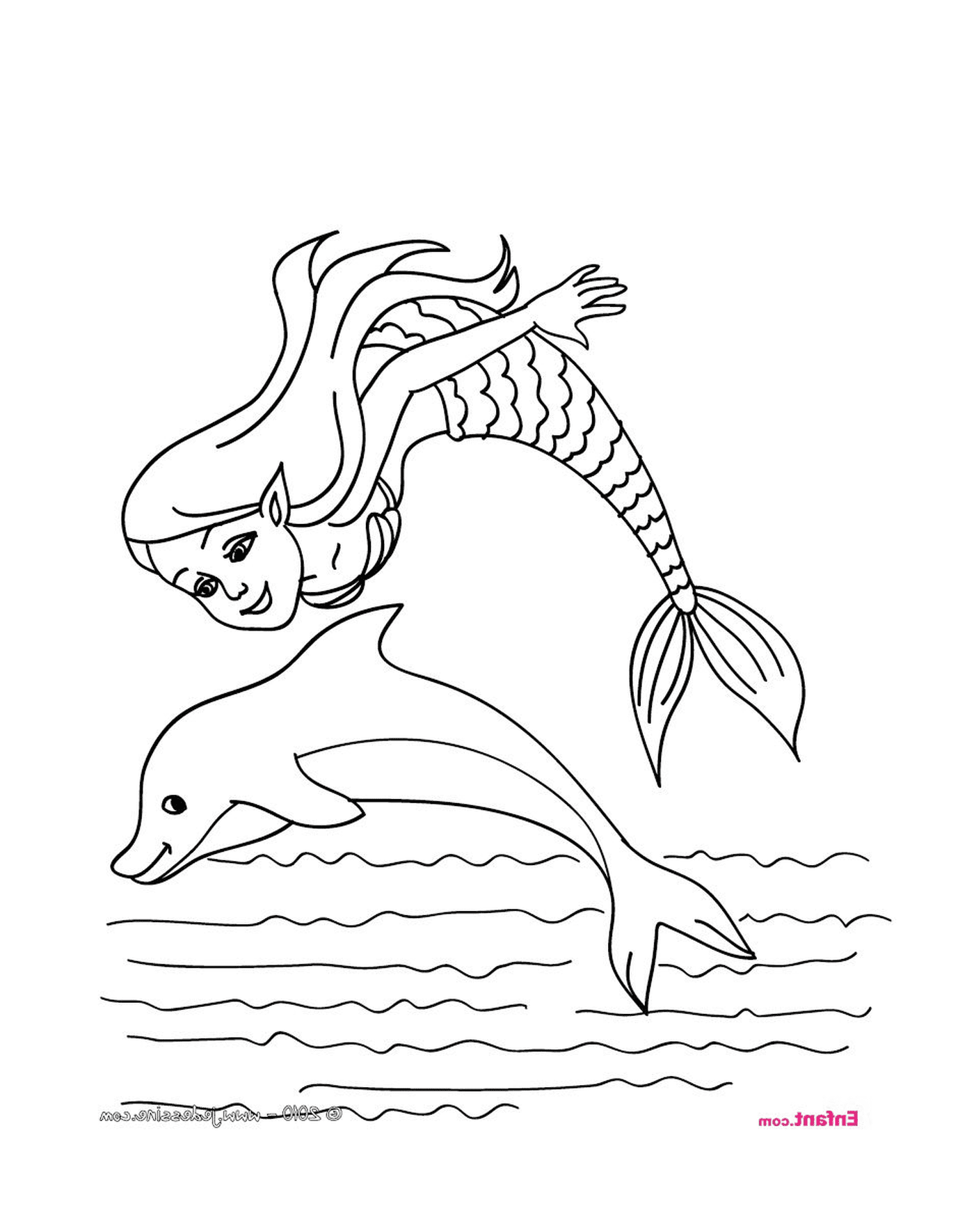   Une sirène et un dauphin 