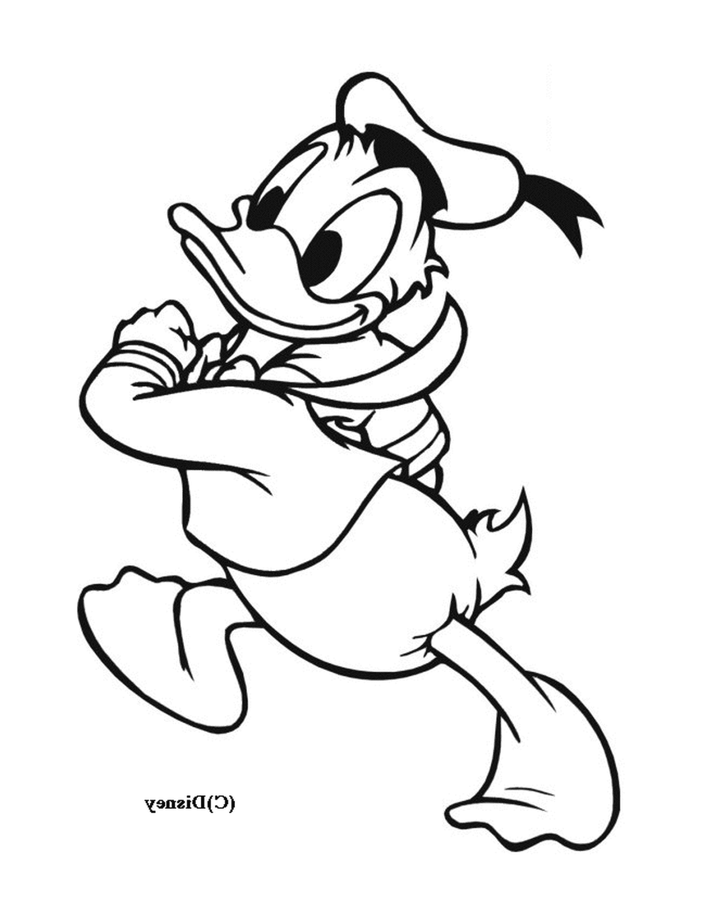   Donald Duck court joyeusement avec une corde 
